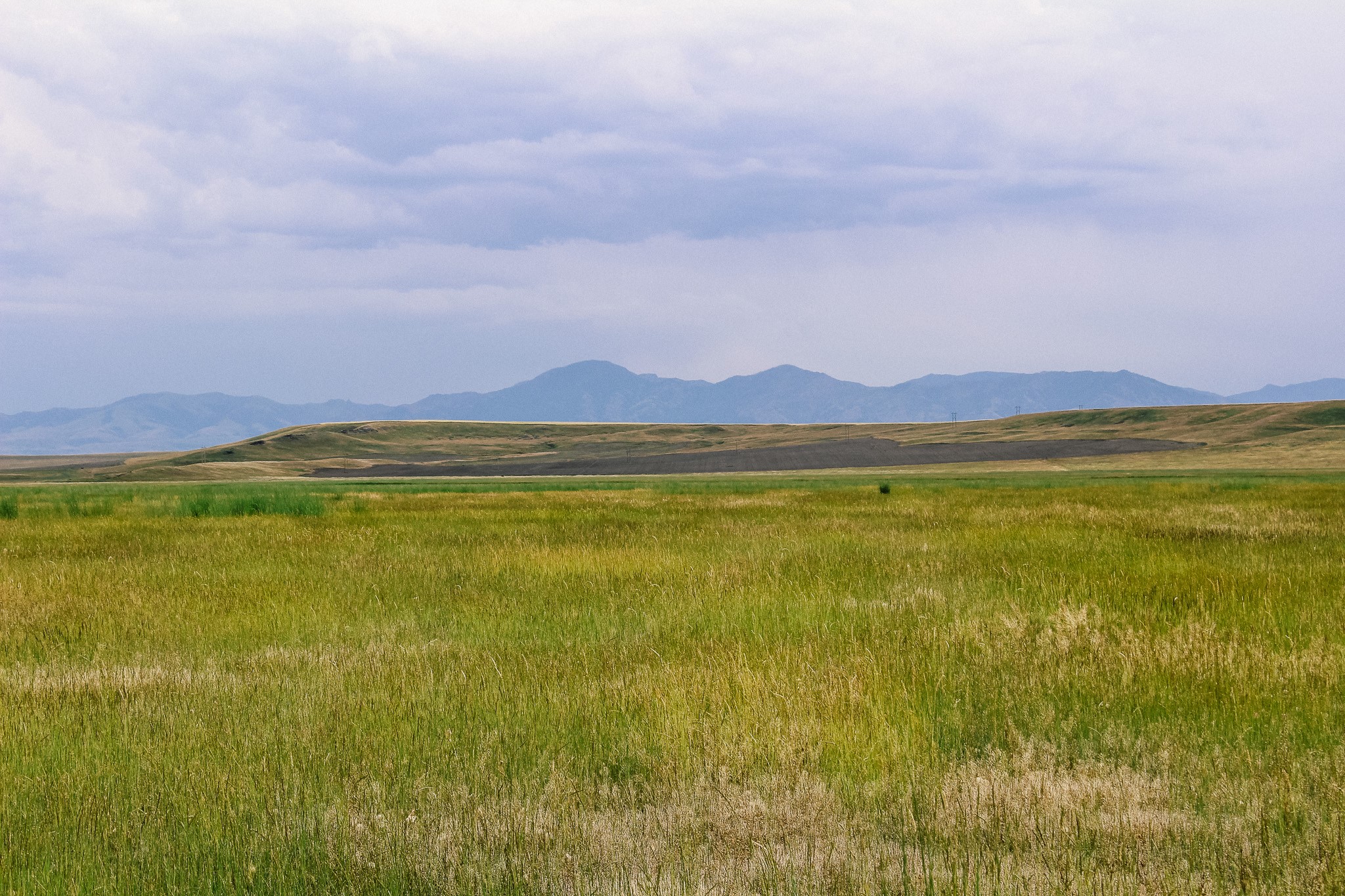 Little Muddy Creek Ranch Property Photo 21
