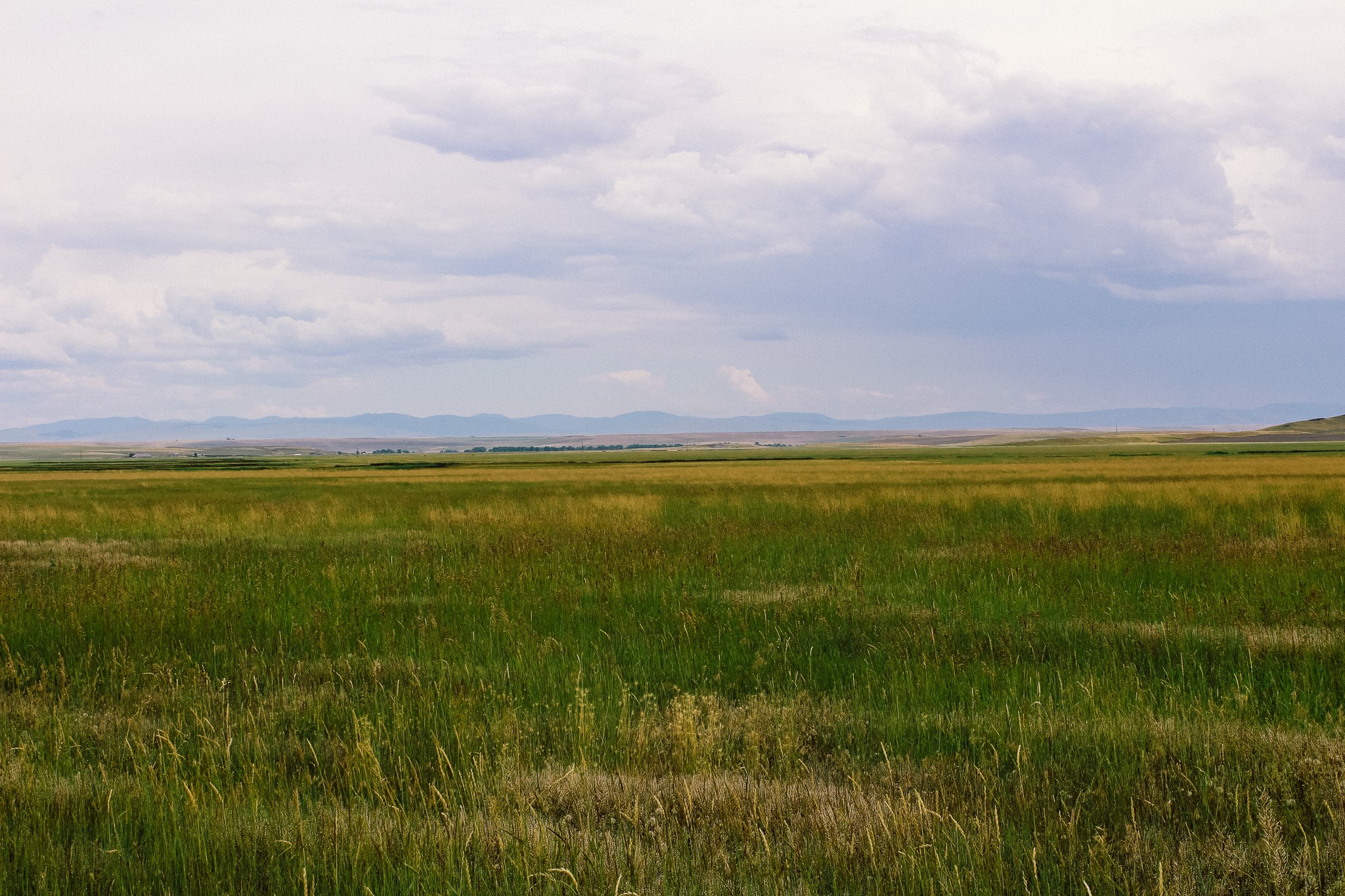 Little Muddy Creek Ranch Property Photo 25
