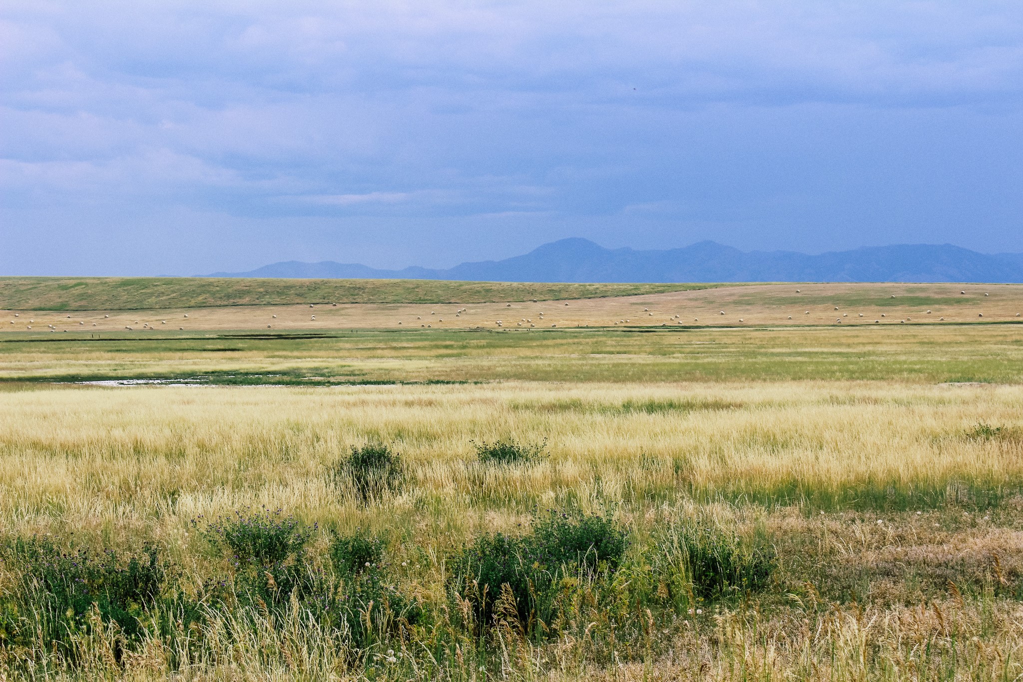 Little Muddy Creek Ranch Property Photo 27