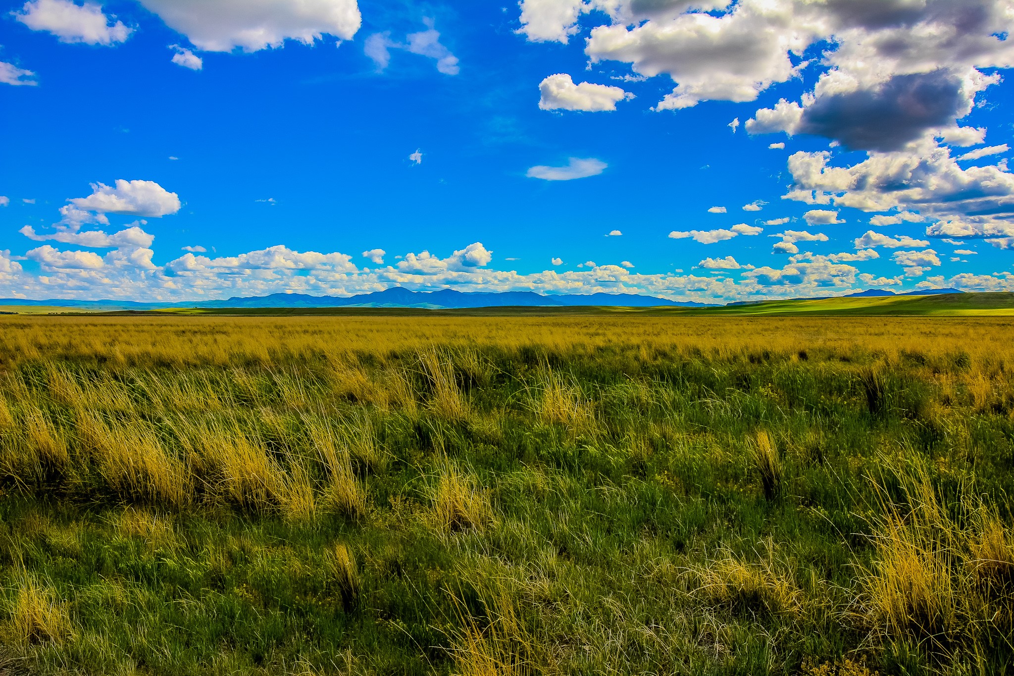 Little Muddy Creek Ranch Property Photo 29