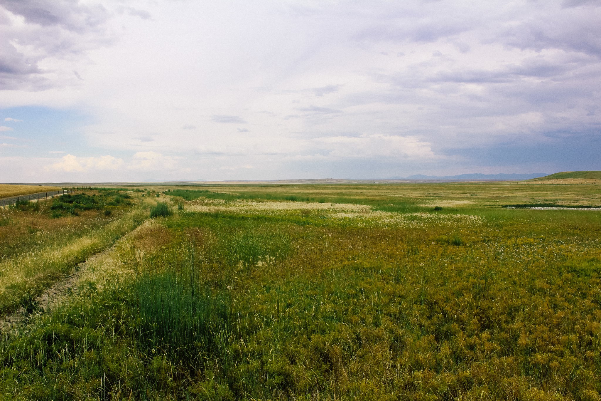 Little Muddy Creek Ranch Property Photo 30