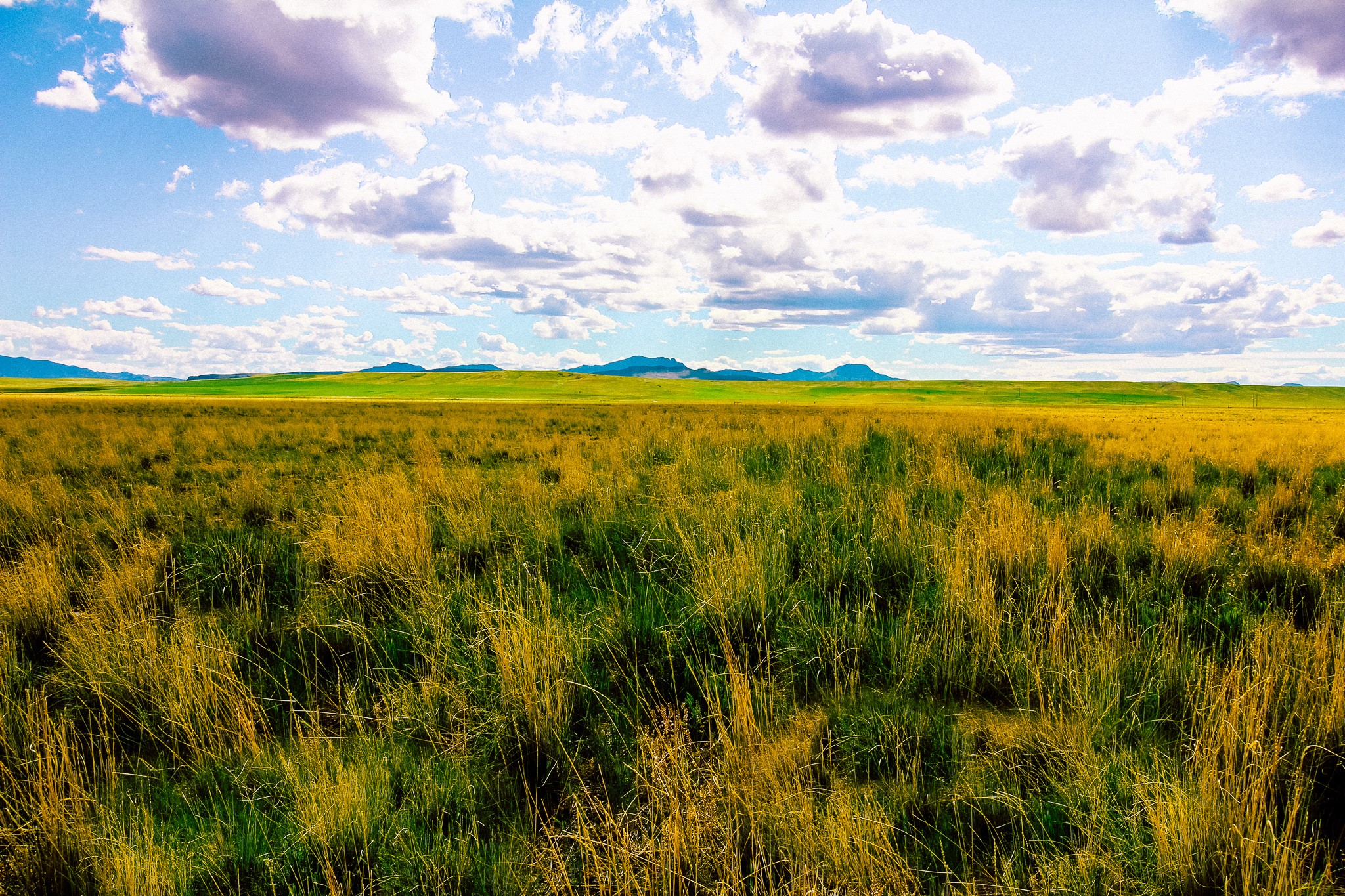 Little Muddy Creek Ranch Property Photo 31