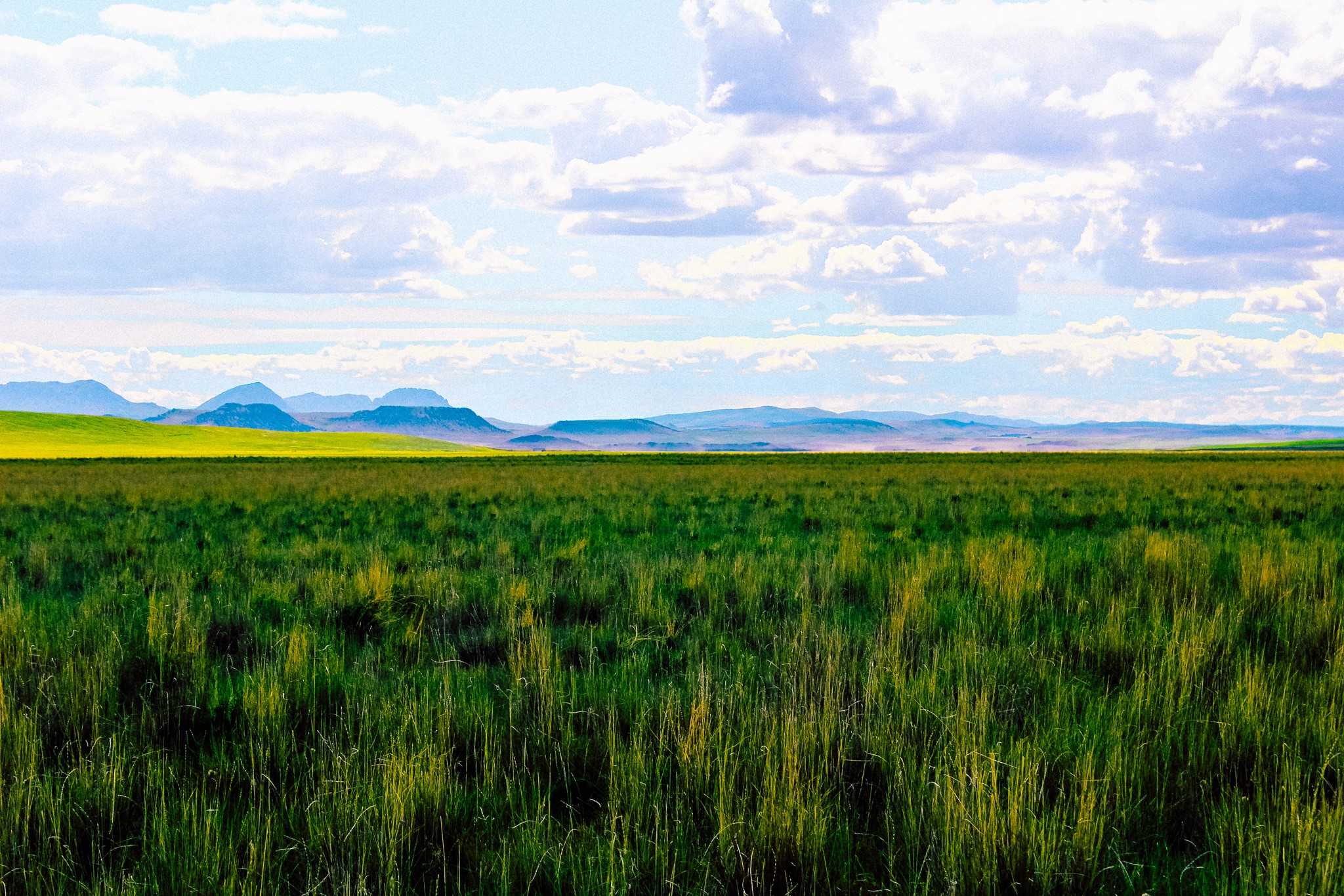 Little Muddy Creek Ranch Property Photo 36
