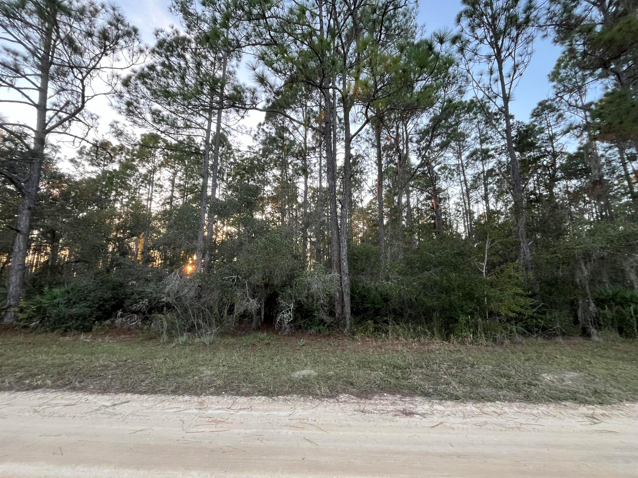 Tbd Royal Avenue Property Photo 3
