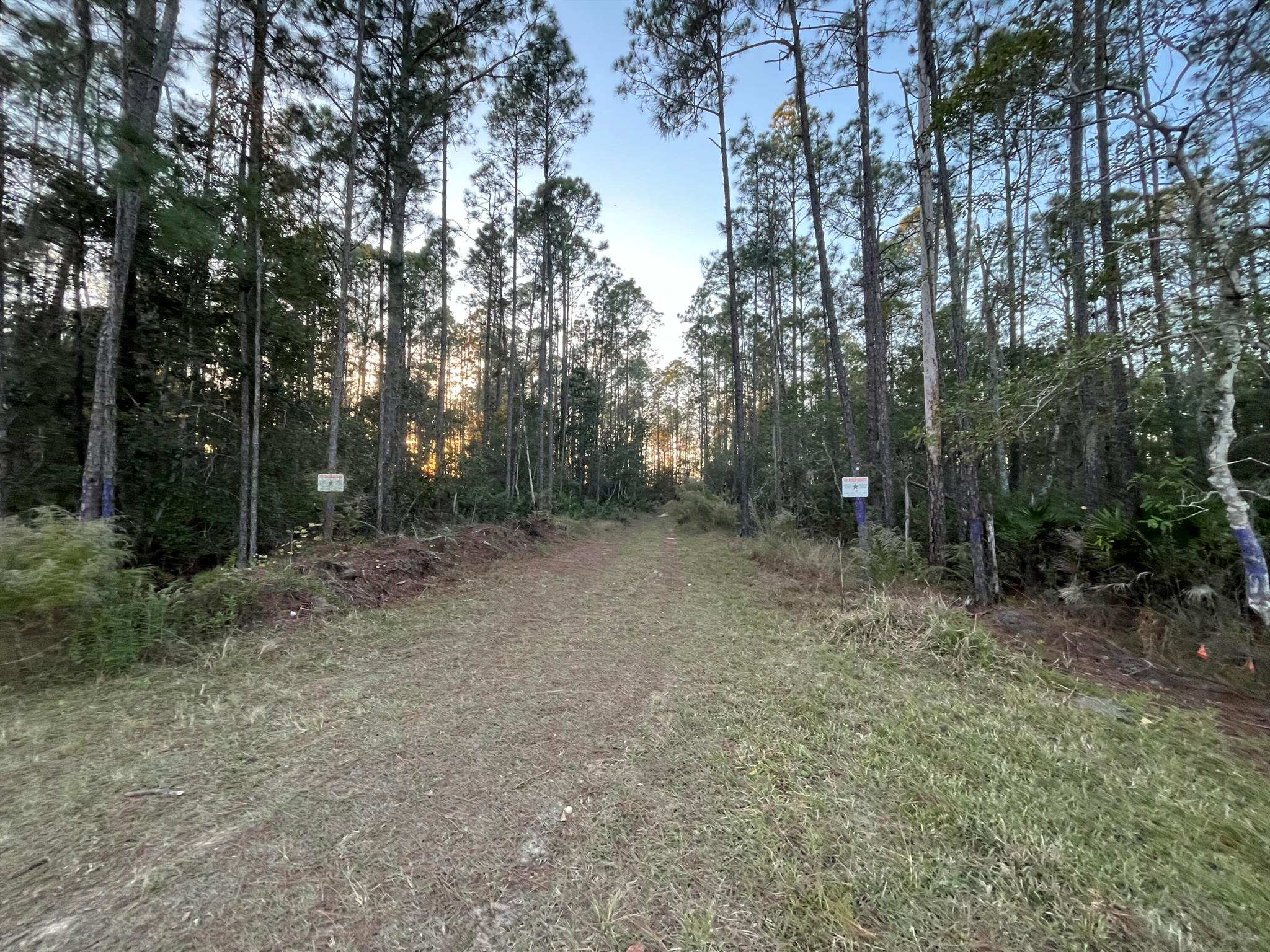 Tbd Royal Avenue Property Photo 7