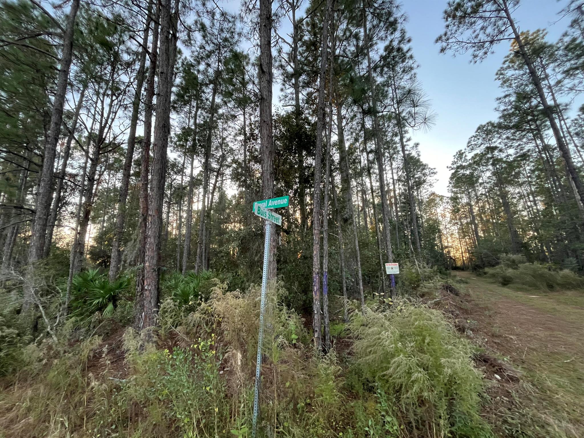 Tbd Royal Avenue Property Photo 8