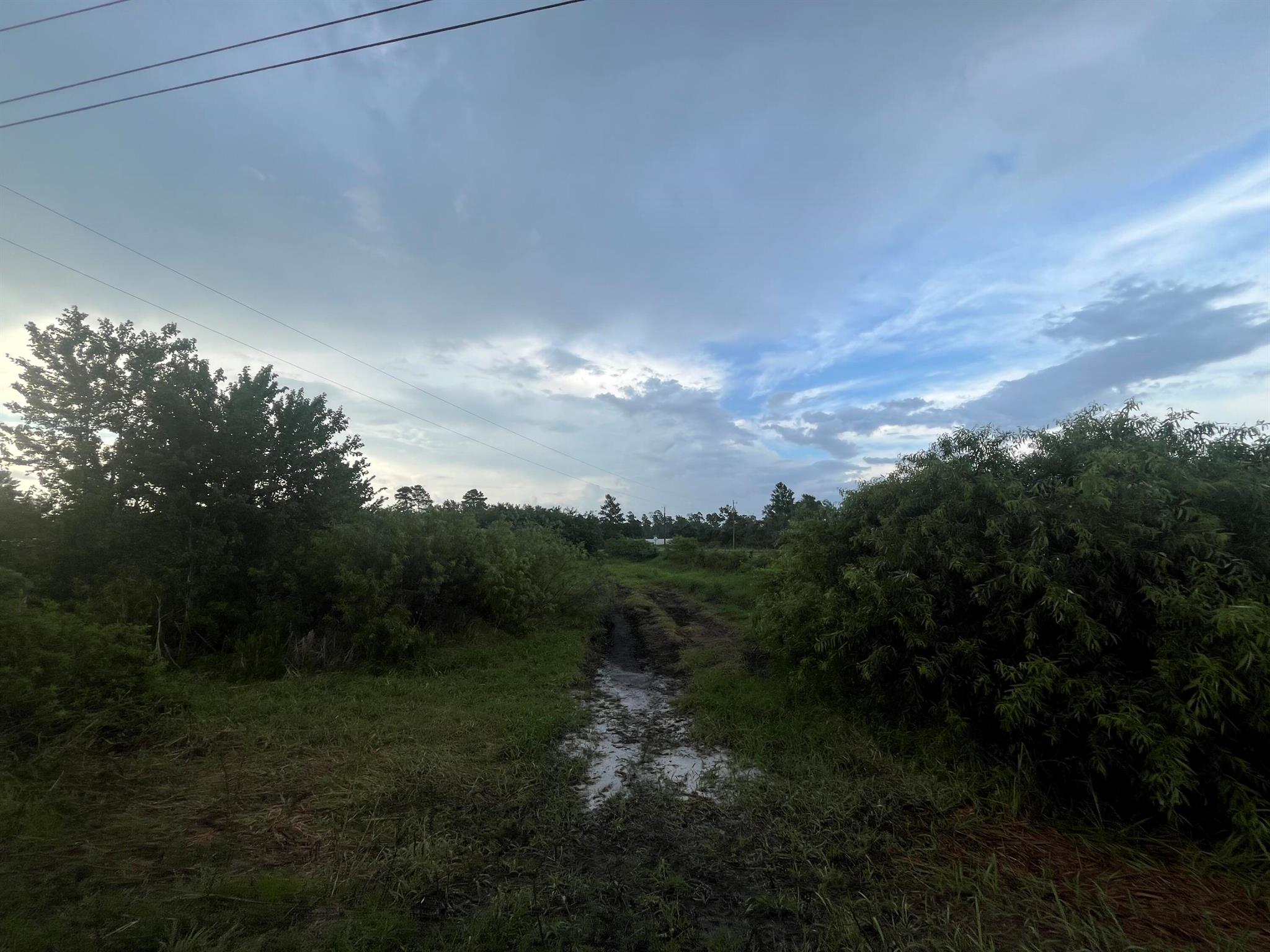 0 Sr-60 Property Photo 1