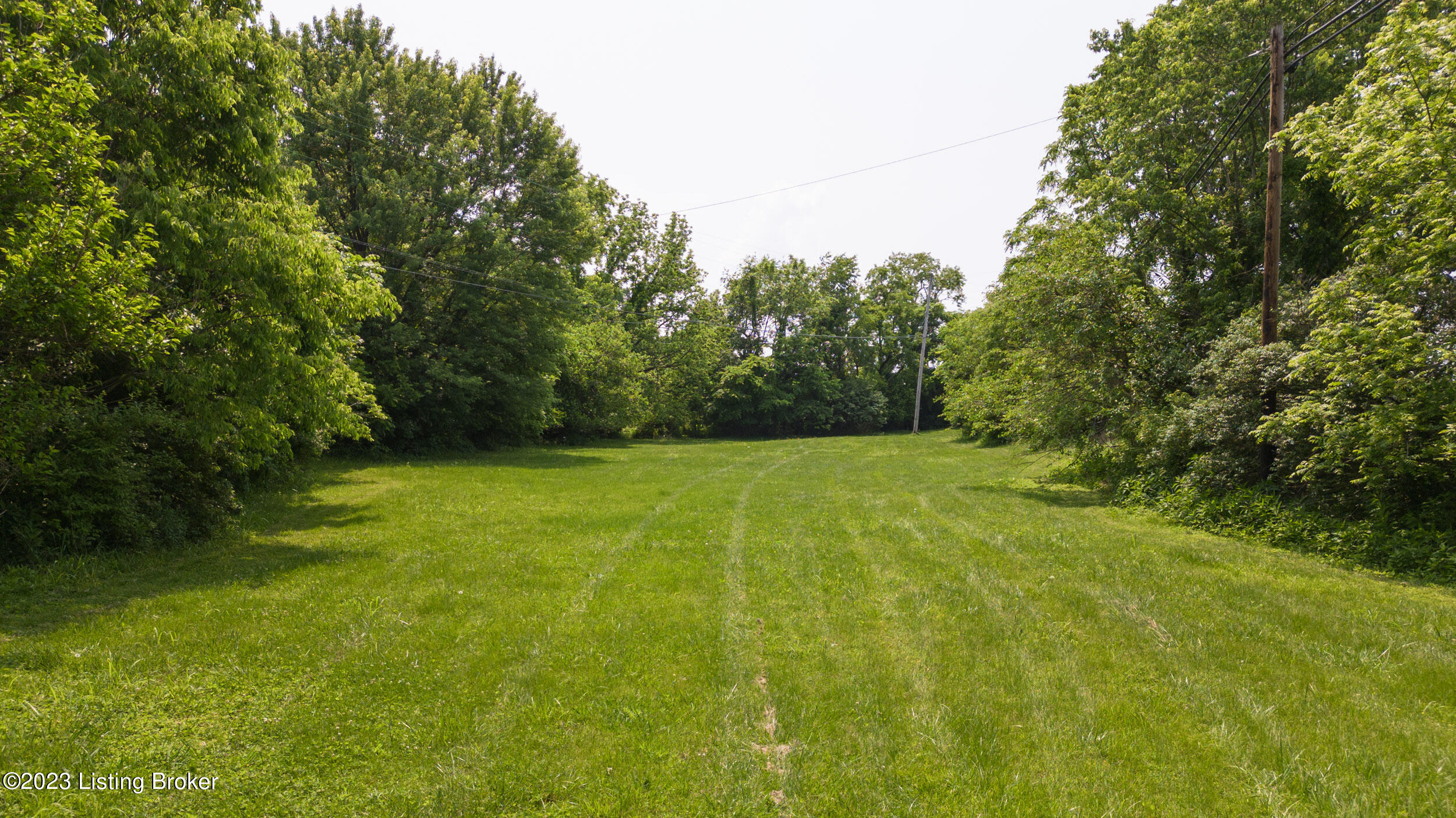 2993 E Blue Lick Rd Property Photo 15