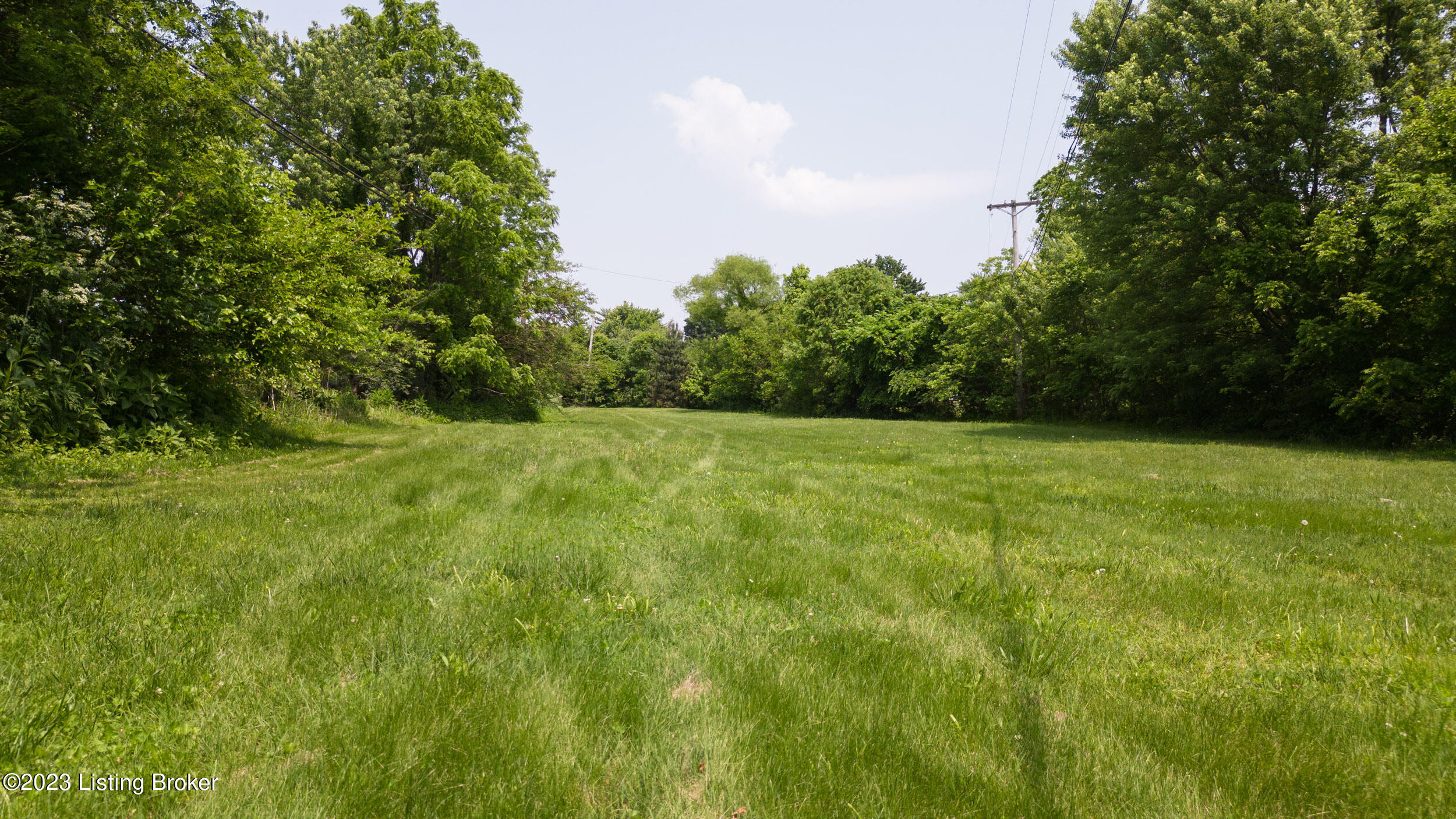 2993 E Blue Lick Rd Property Photo 16
