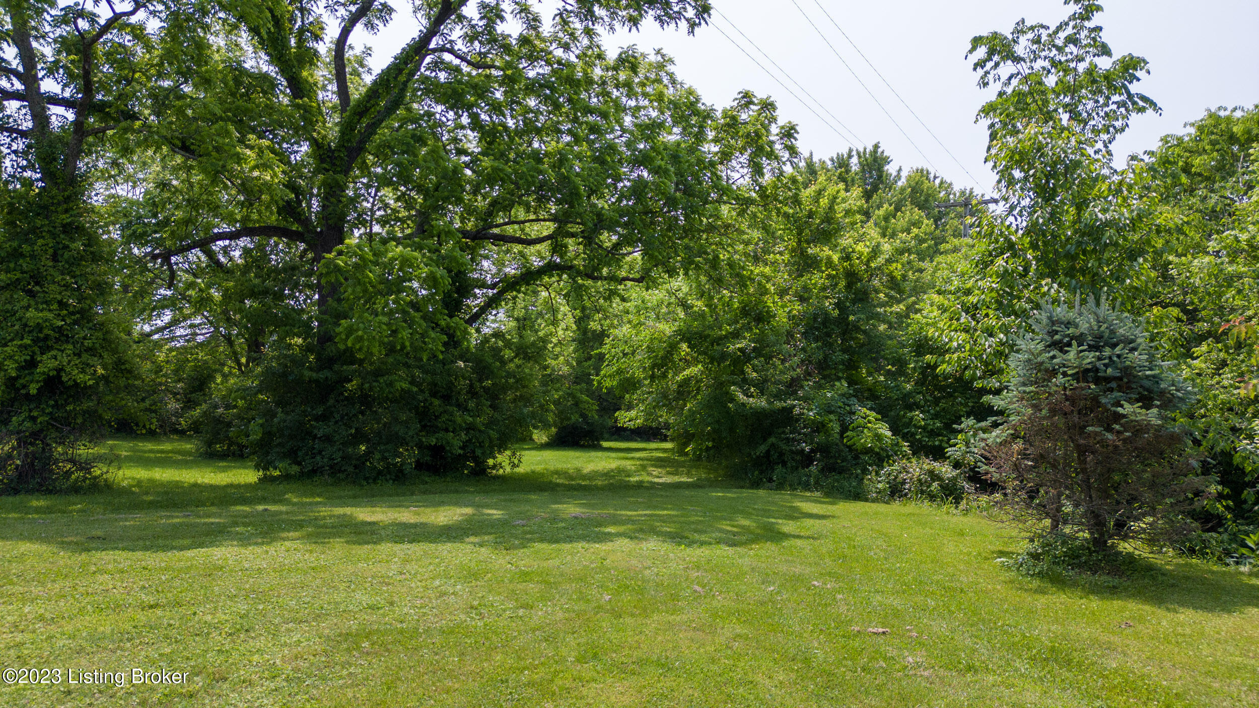 2993 E Blue Lick Rd Property Photo 12