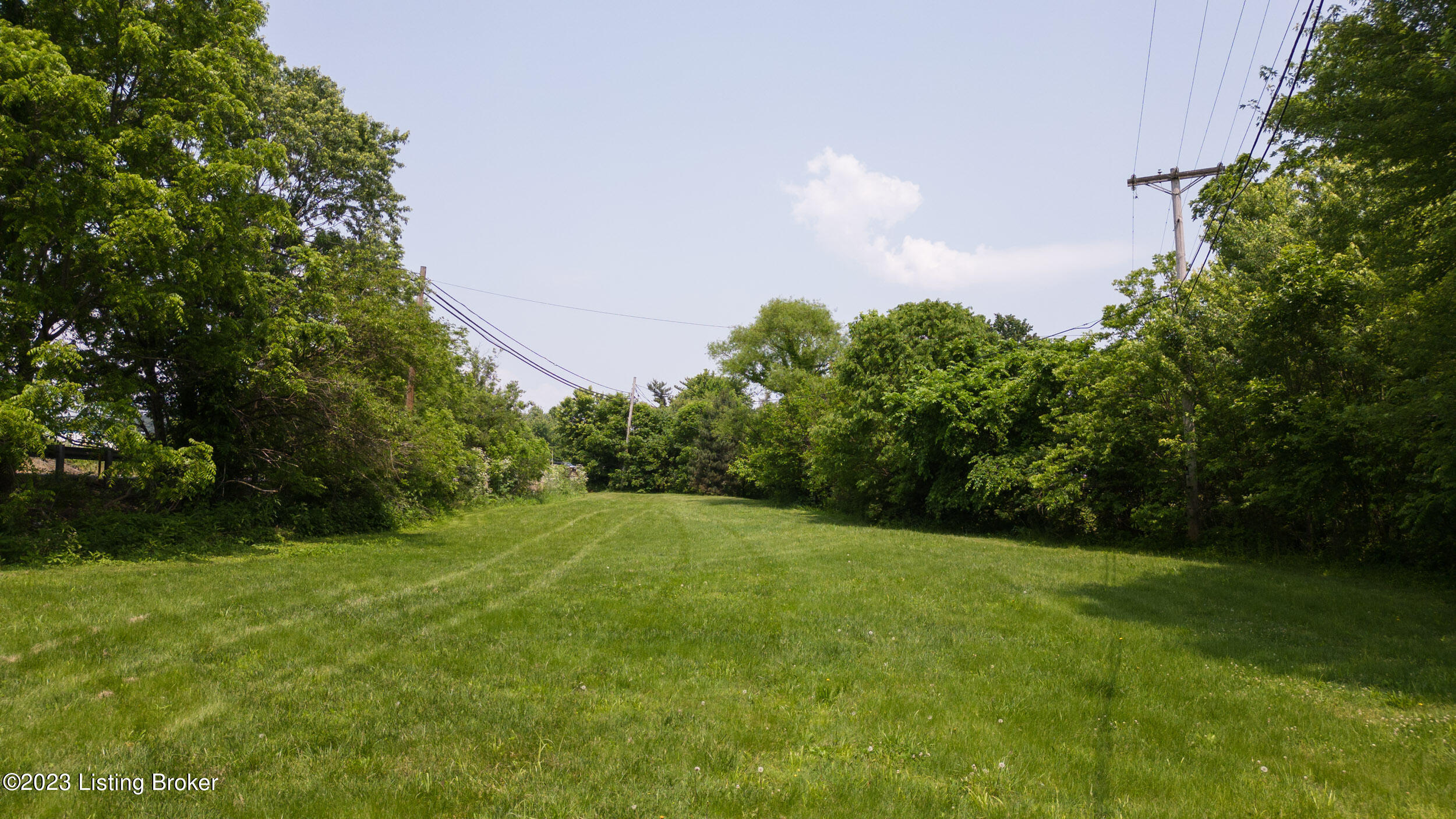 2993 E Blue Lick Rd Property Photo 17