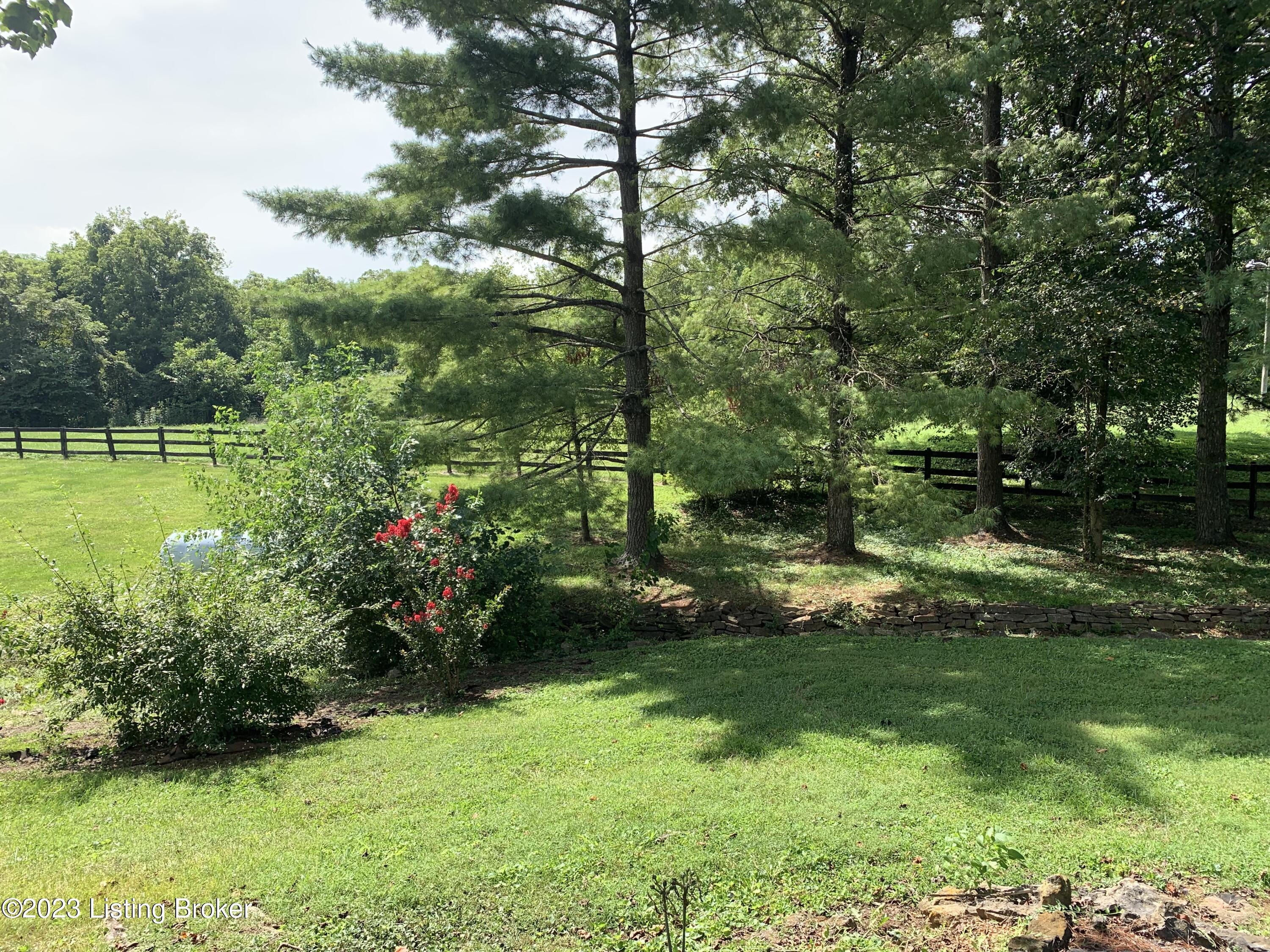 3203 Bison Ln Property Photo 55