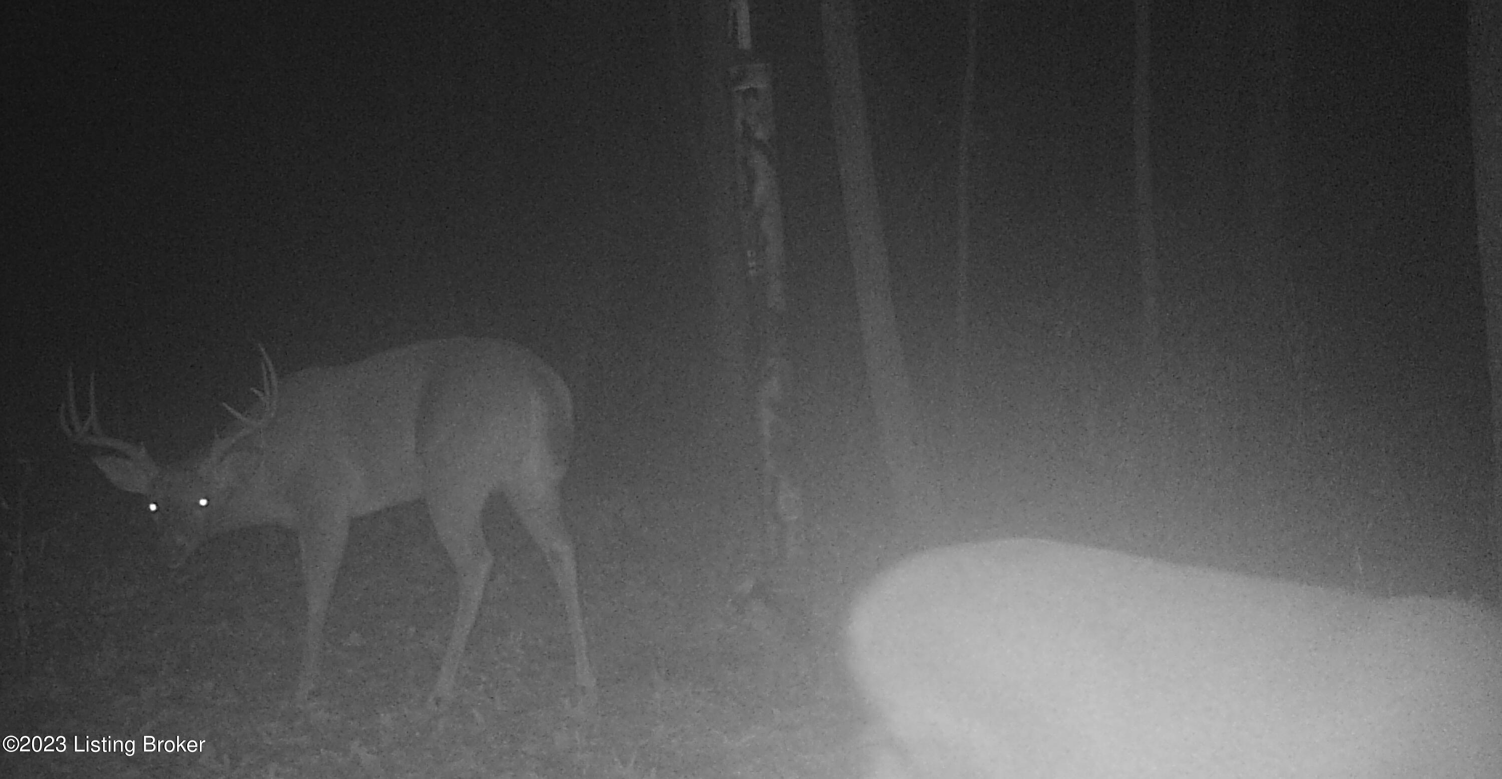 1013 Weird Rd Property Photo 75