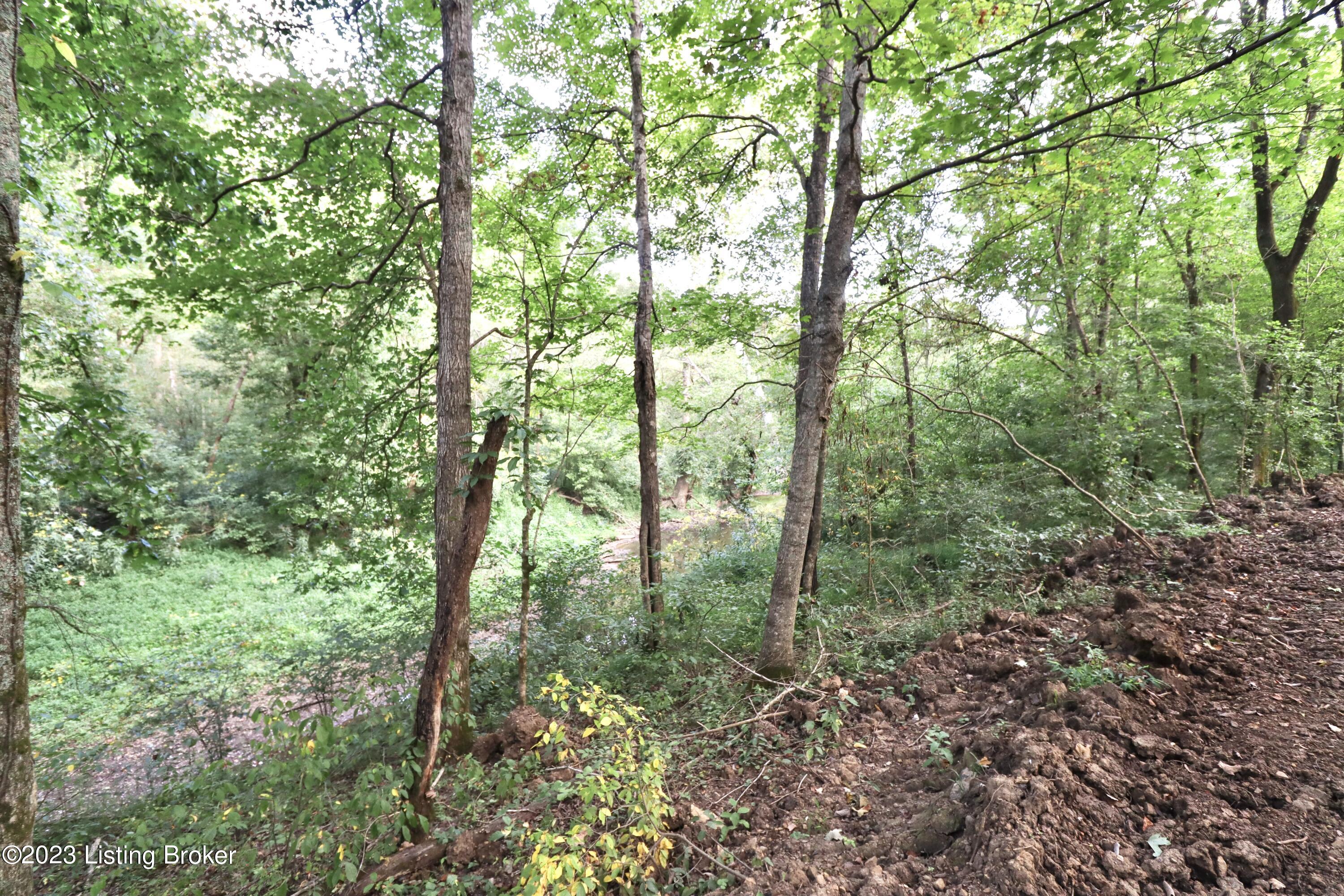 635 Blossom Ridge Rd Property Photo 78