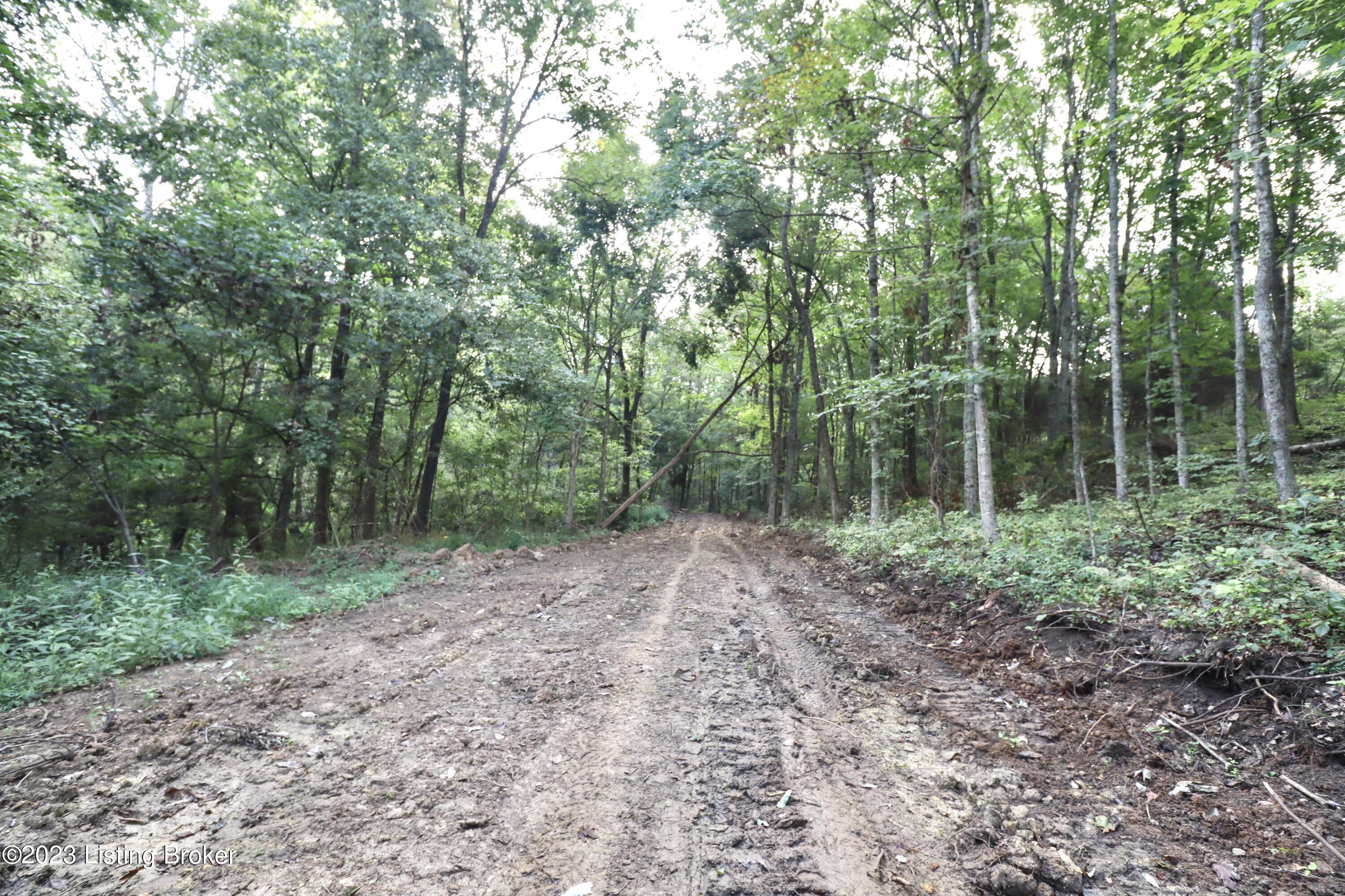 635 Blossom Ridge Rd Property Photo 79