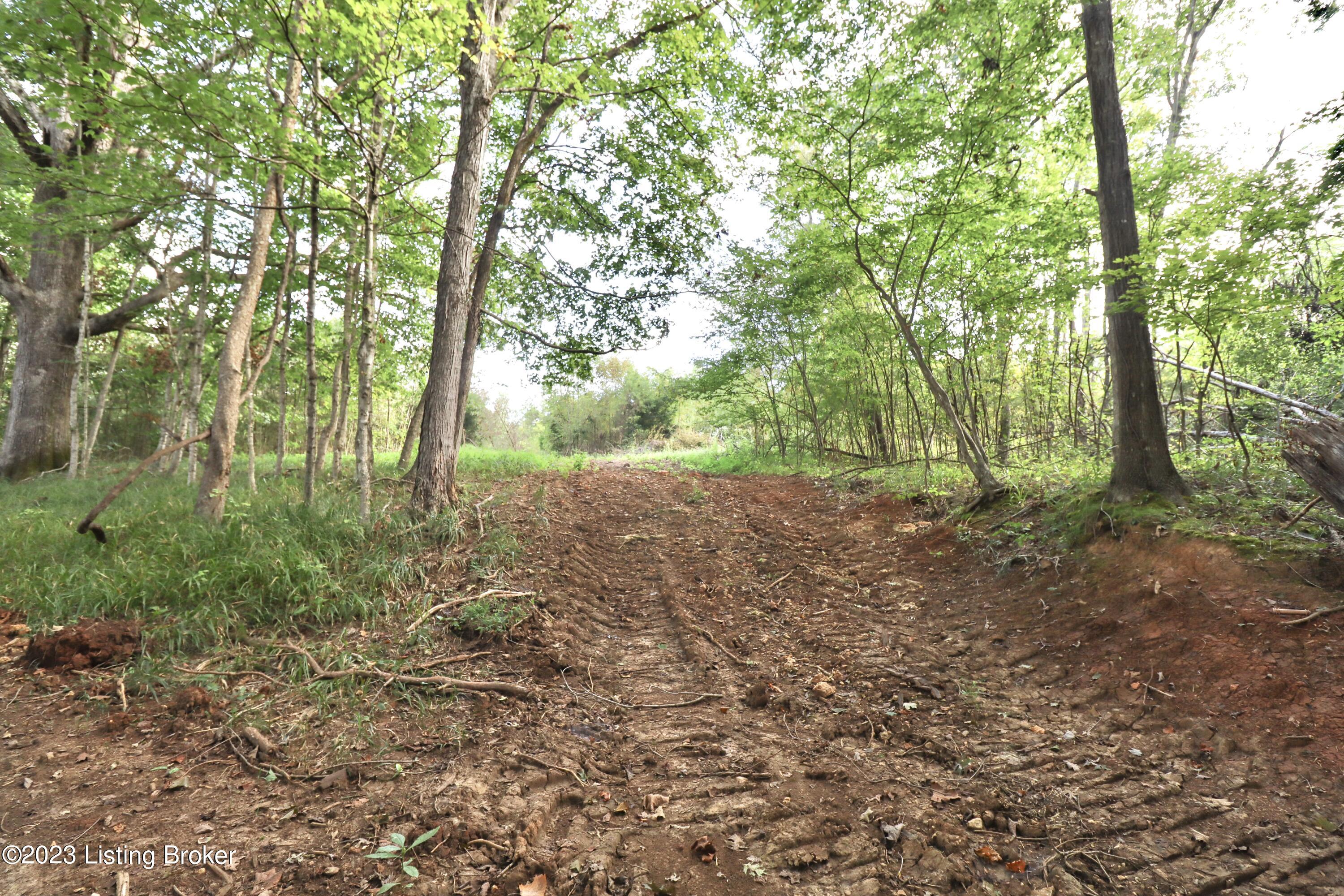 635 Blossom Ridge Rd Property Photo 80