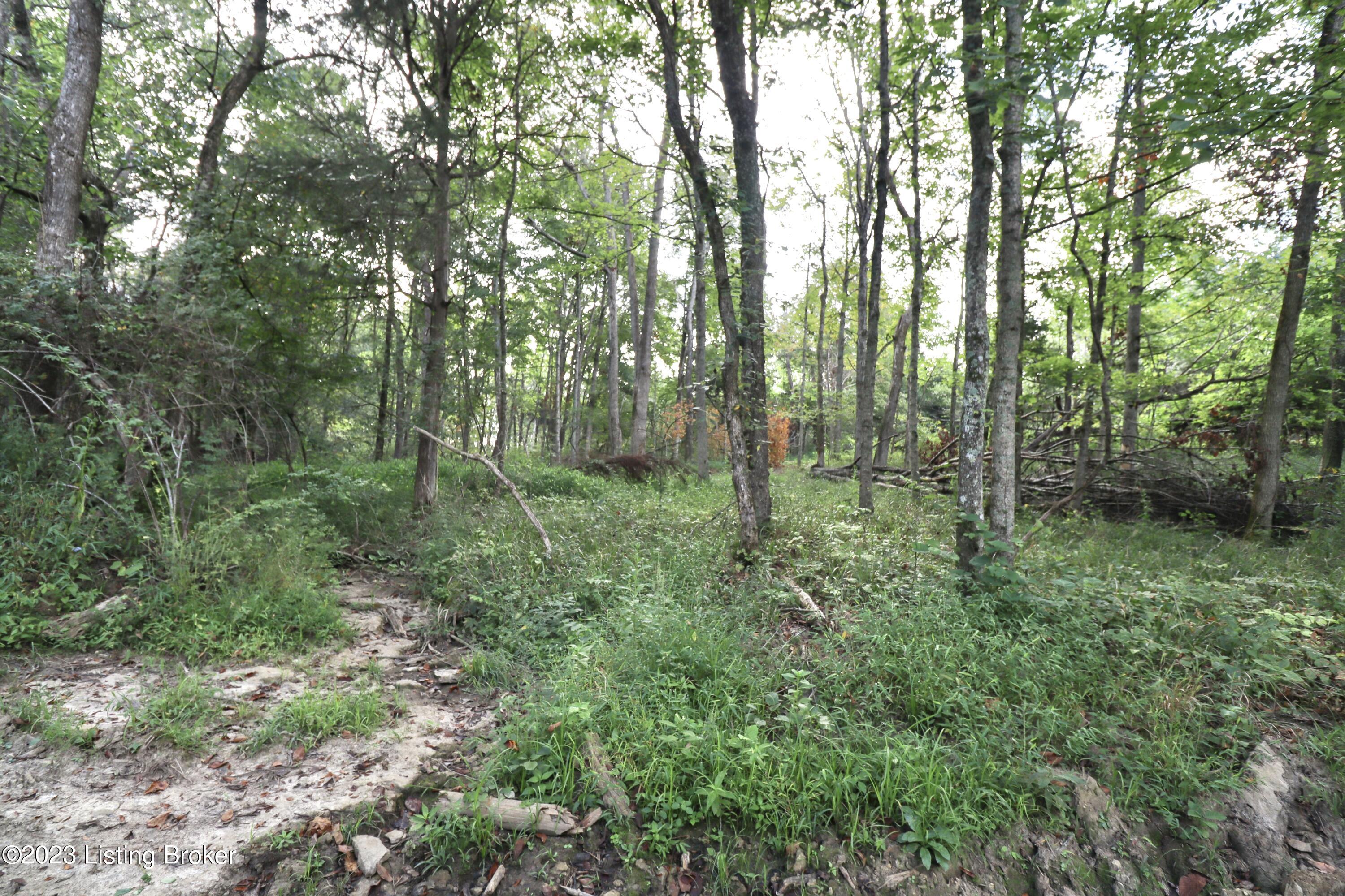 635 Blossom Ridge Rd Property Photo 82