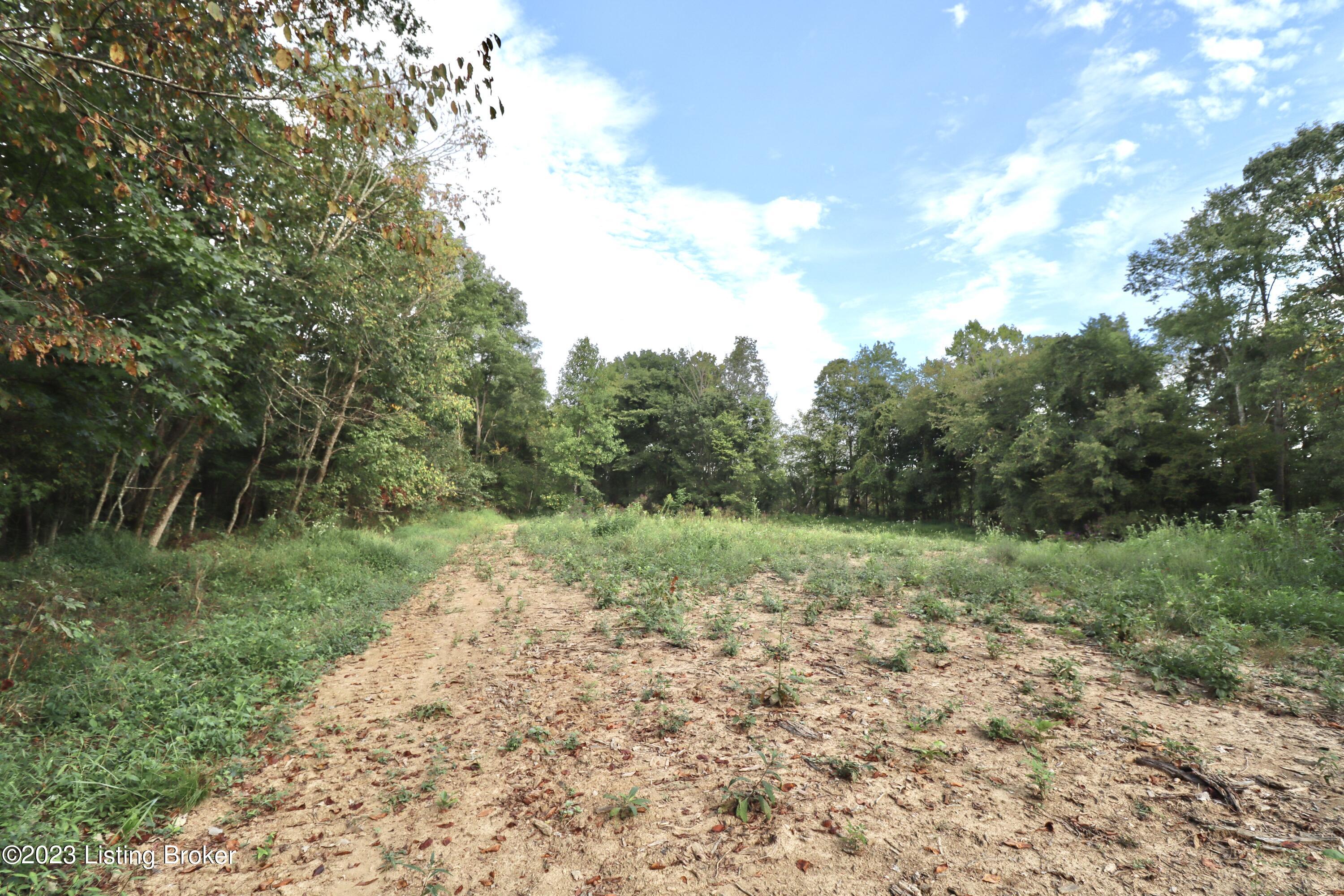 635 Blossom Ridge Rd Property Photo 84