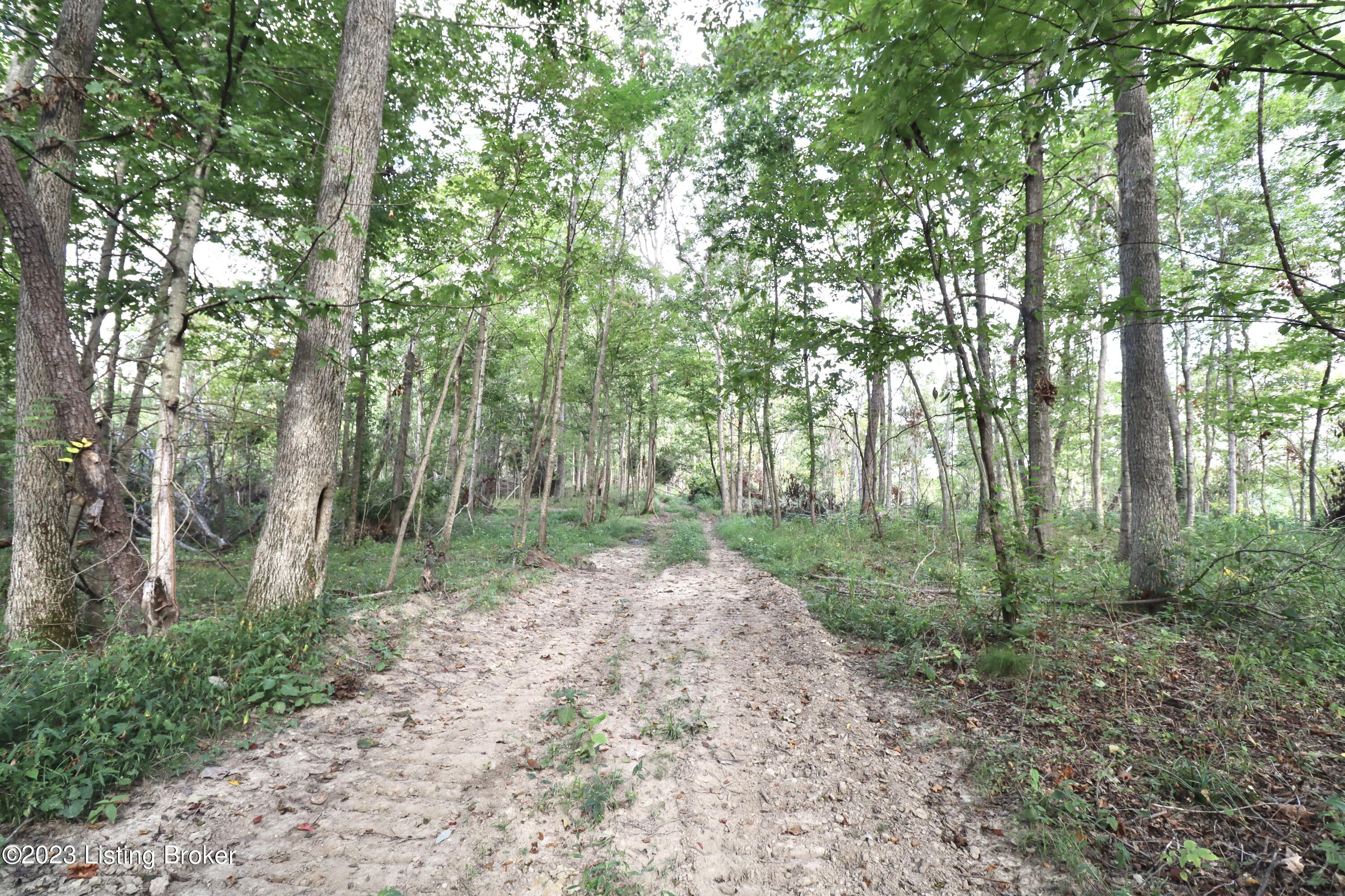 635 Blossom Ridge Rd Property Photo 85