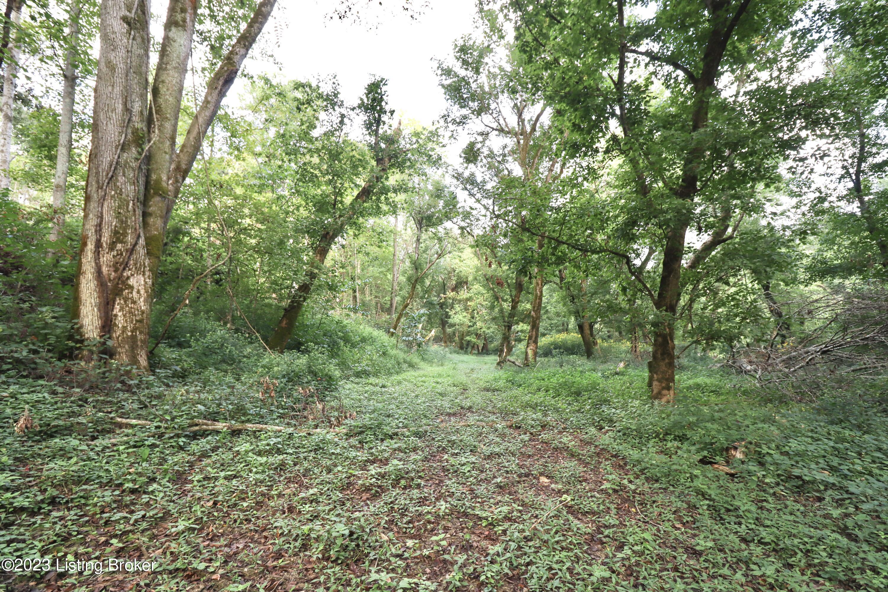635 Blossom Ridge Rd Property Photo 86
