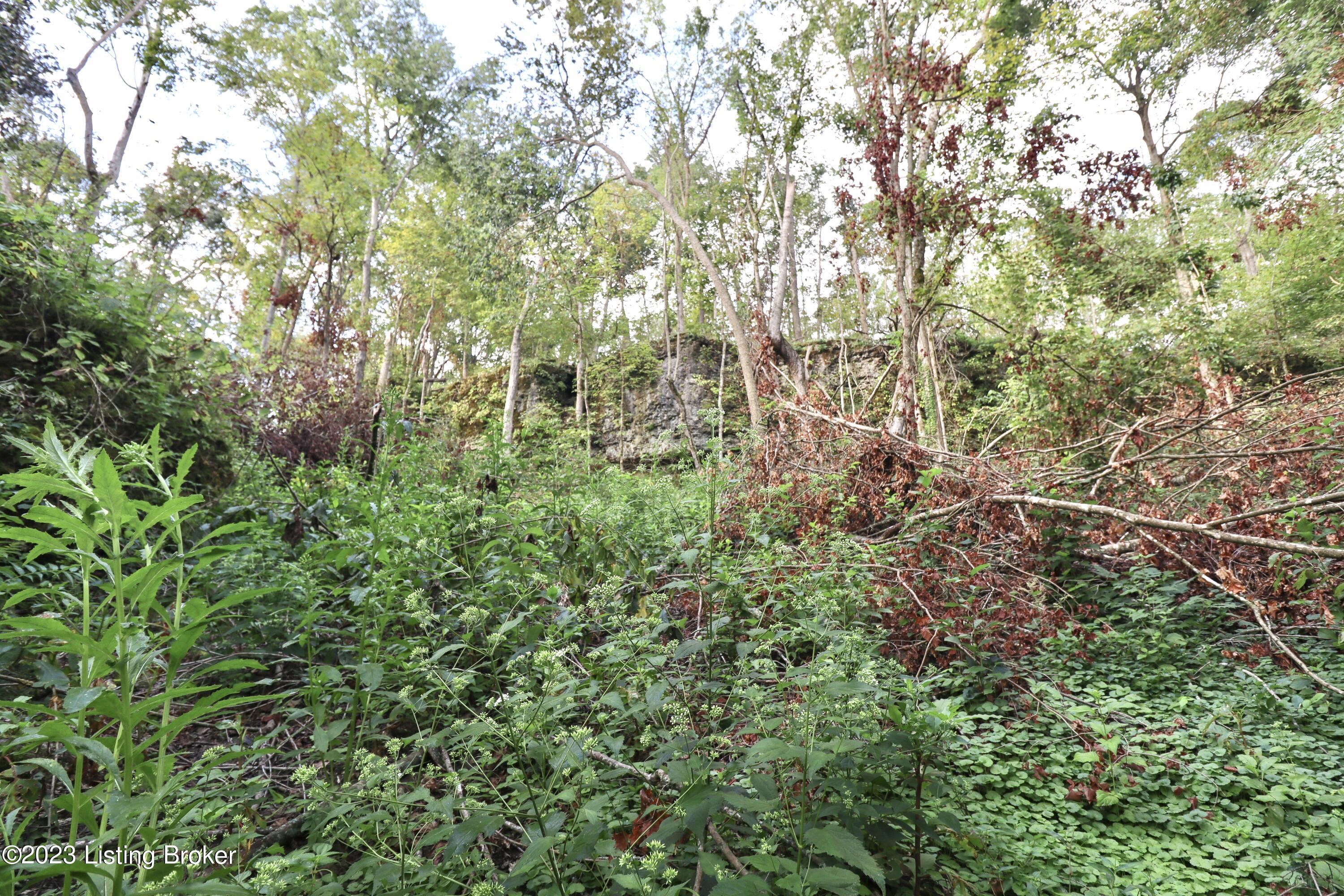 635 Blossom Ridge Rd Property Photo 87