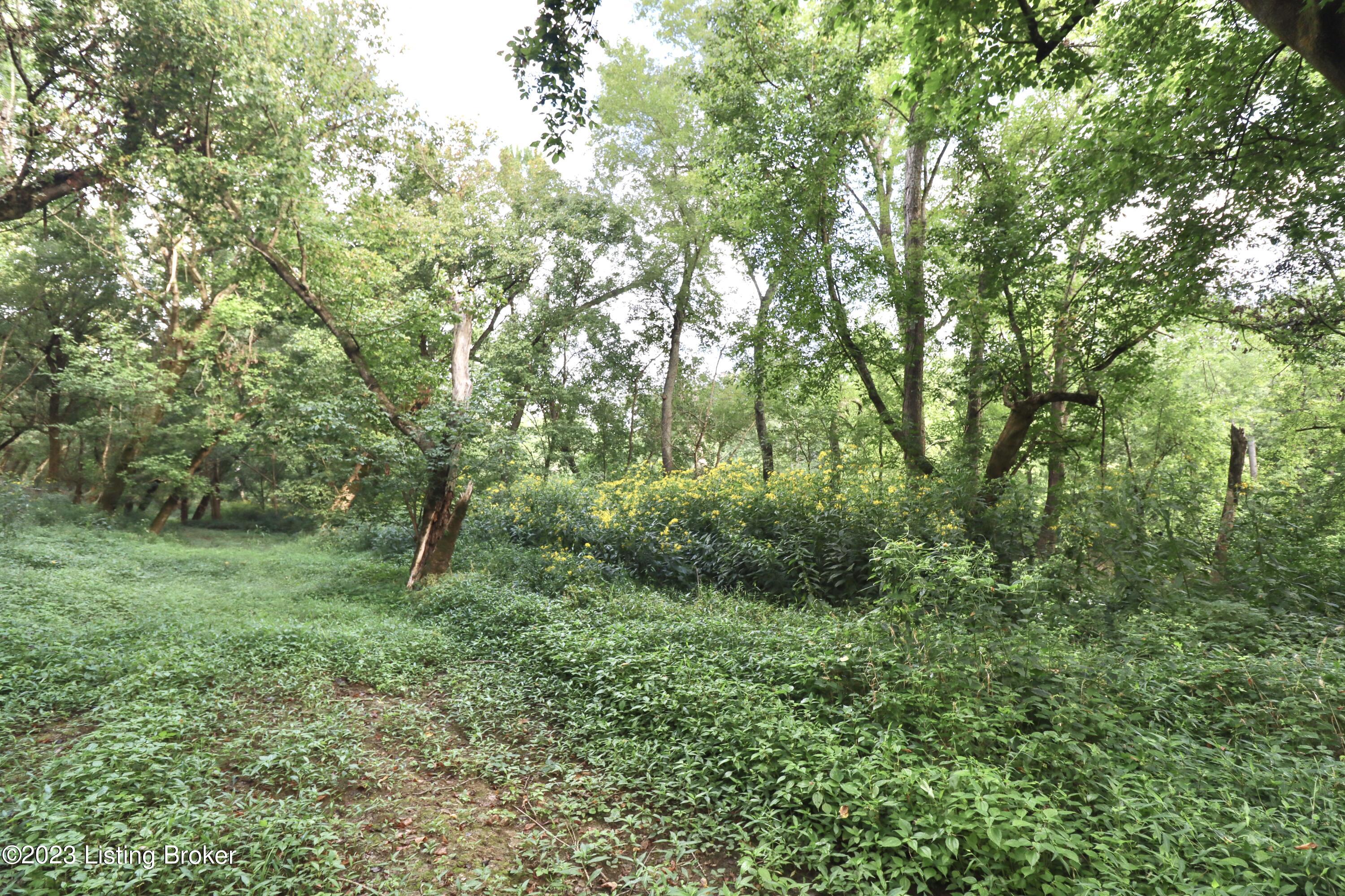 635 Blossom Ridge Rd Property Photo 88