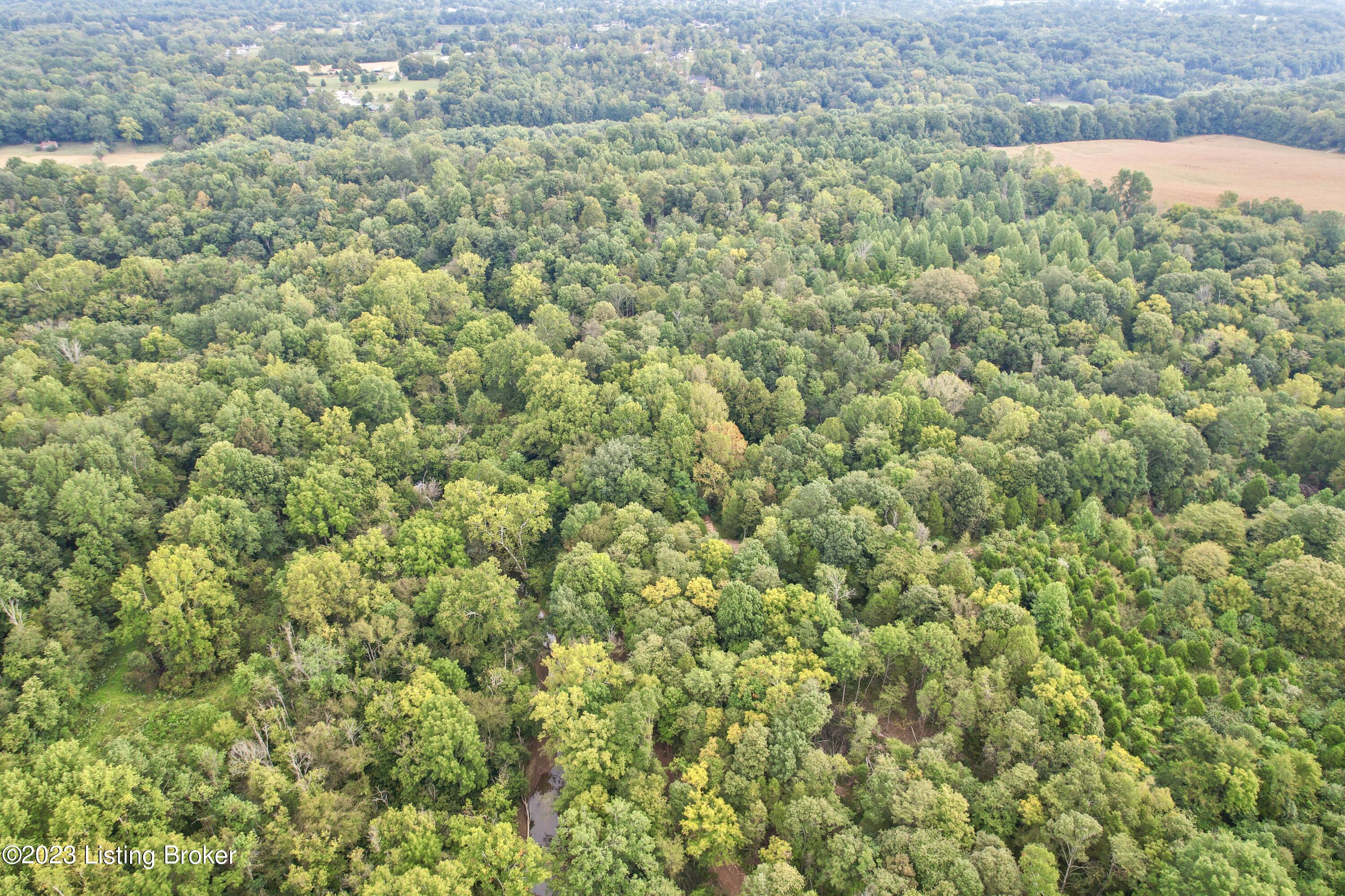 635 Blossom Ridge Rd Property Photo 98