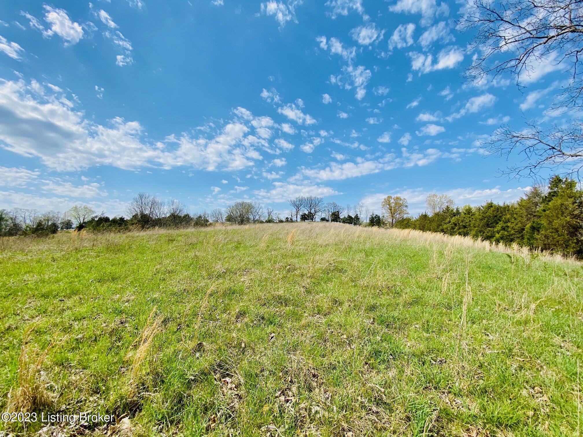Lot#19 East Fork Rd Property Photo 1