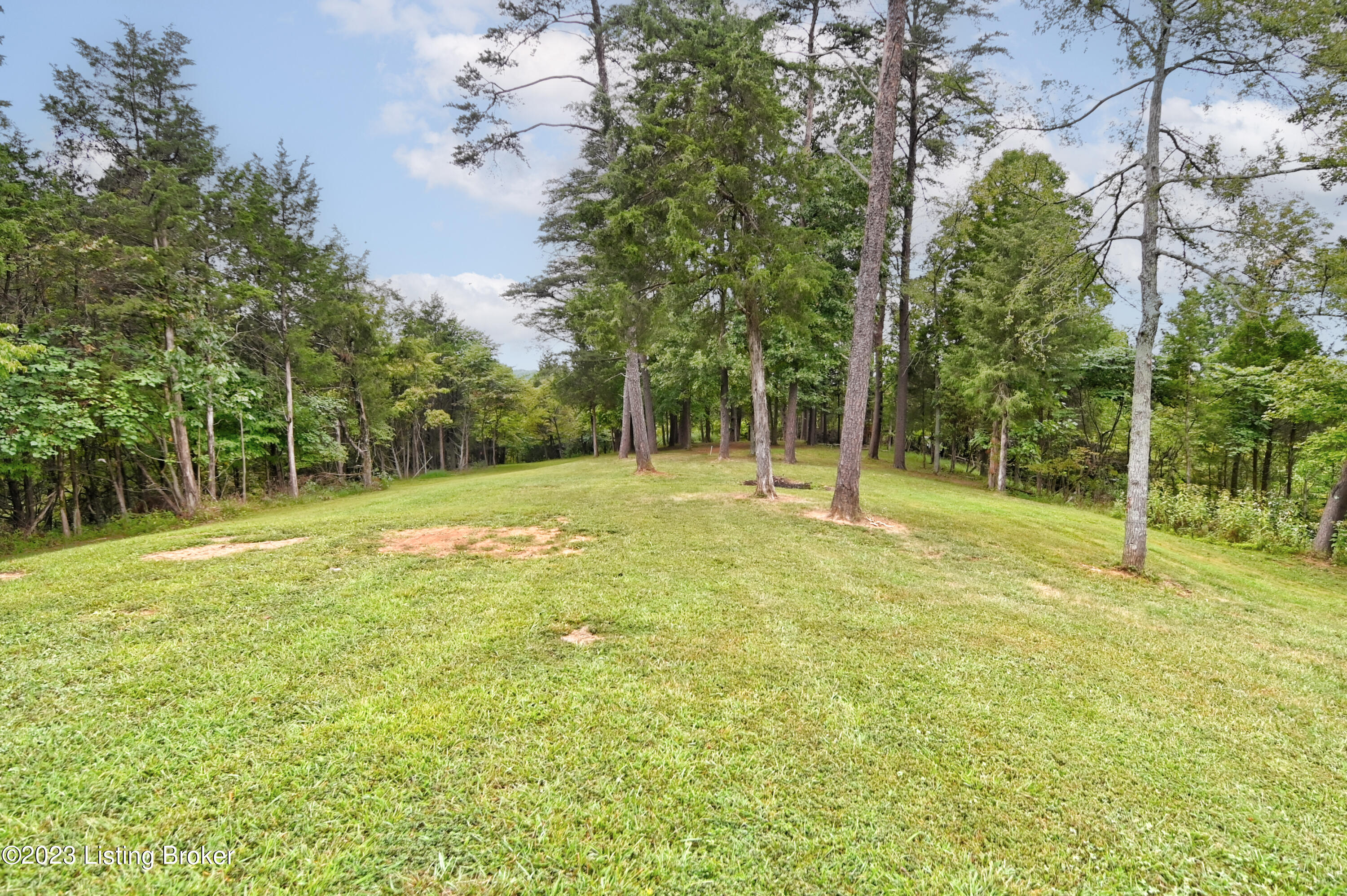 1054 Woodsdale Farm Dr Property Photo 48