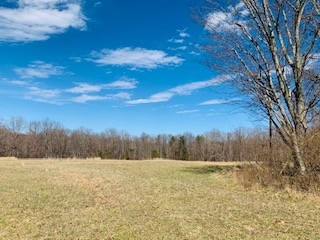 607 Open Range Rd Property Photo 5