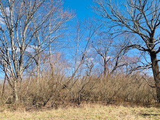 607 Open Range Rd Property Photo 6