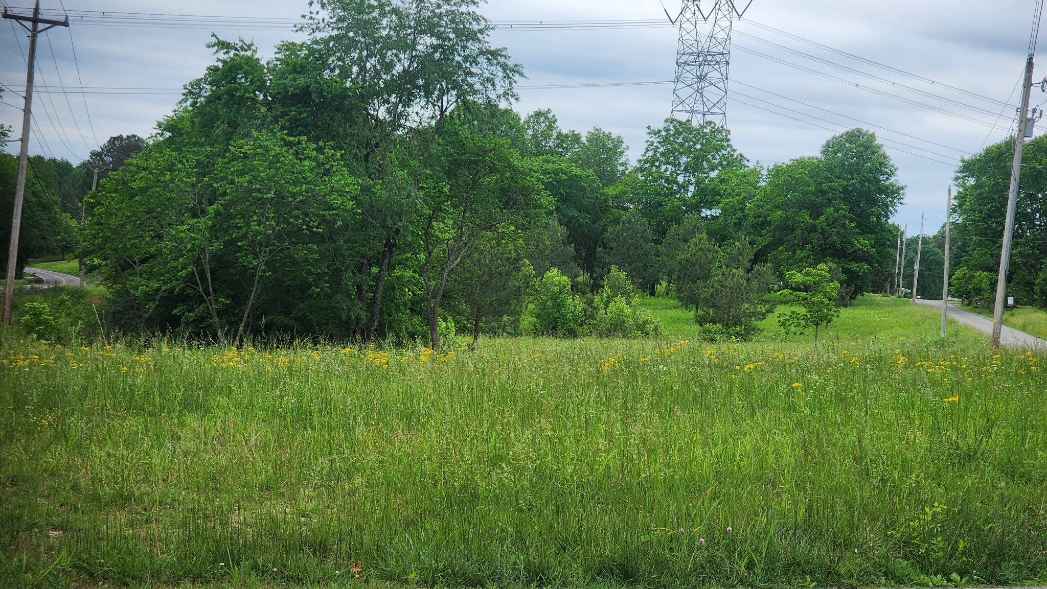 3147 Old New Cut Rd Property Photo 4