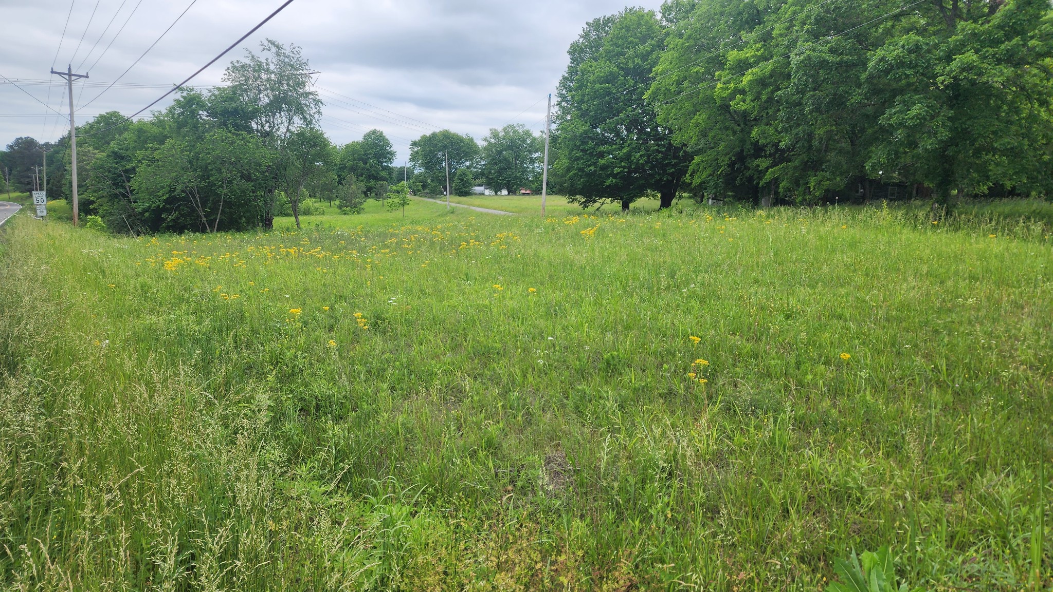 3147 Old New Cut Rd Property Photo 5