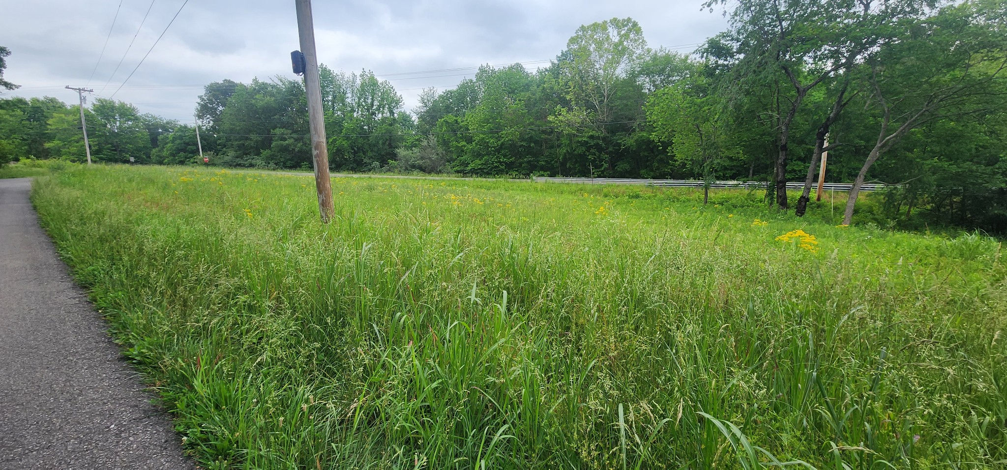 3147 Old New Cut Rd Property Photo 8