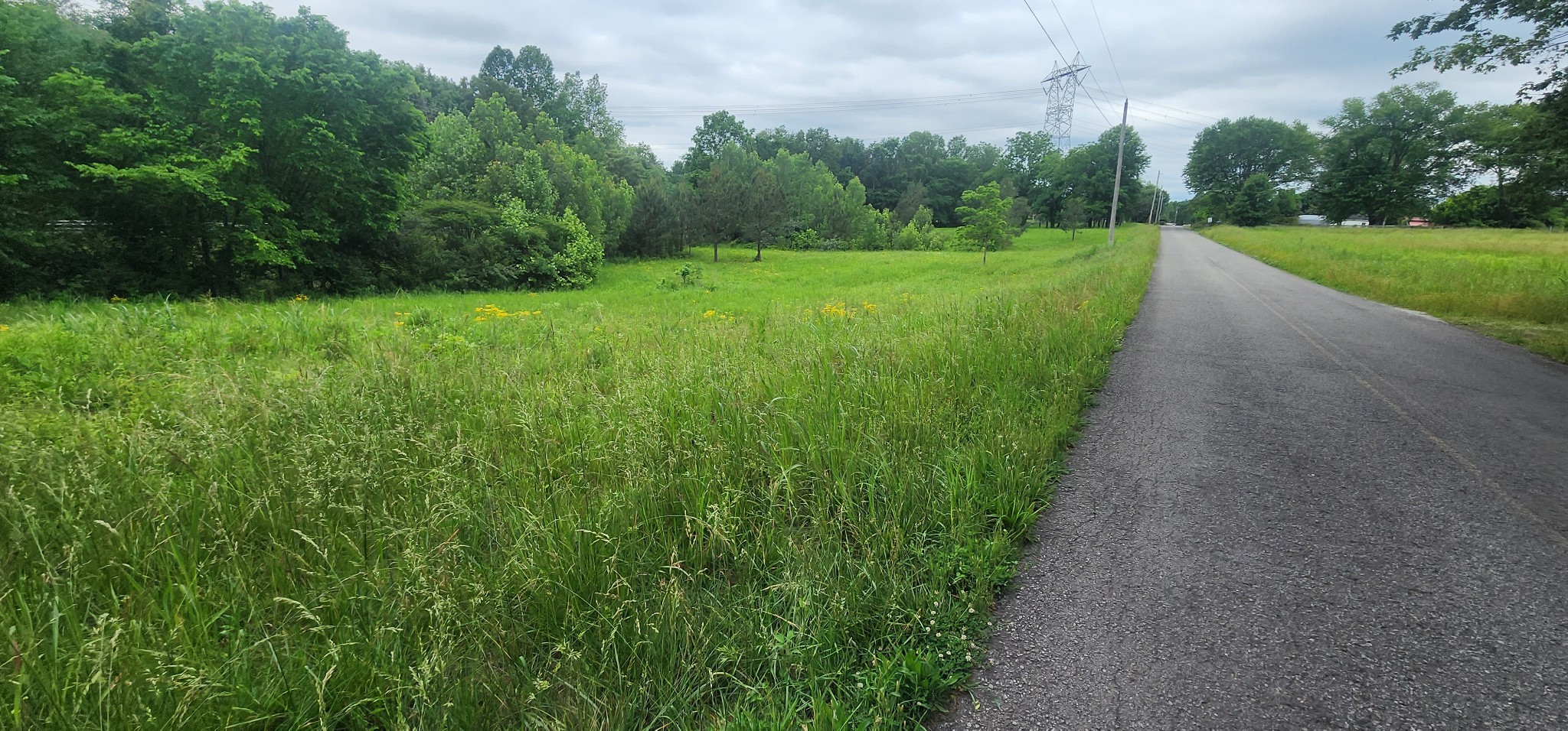 3147 Old New Cut Rd Property Photo 9