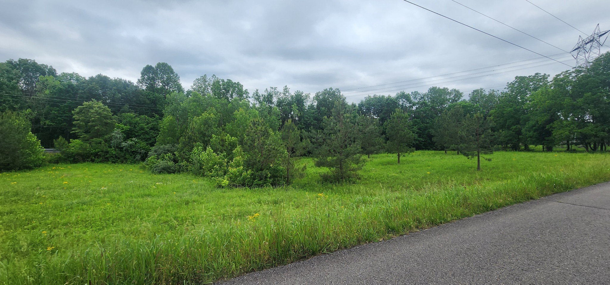 3147 Old New Cut Rd Property Photo 11