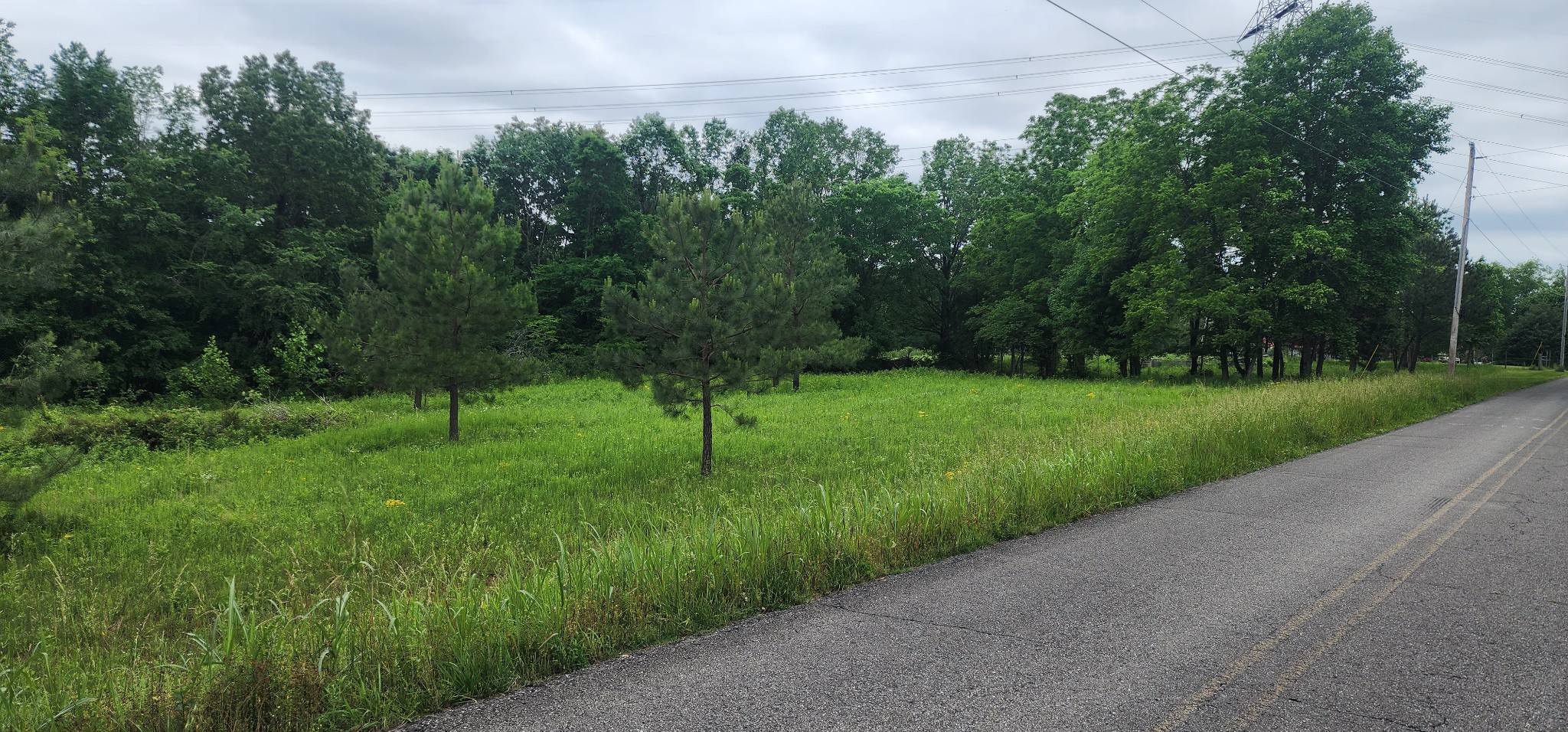 3147 Old New Cut Rd Property Photo 12