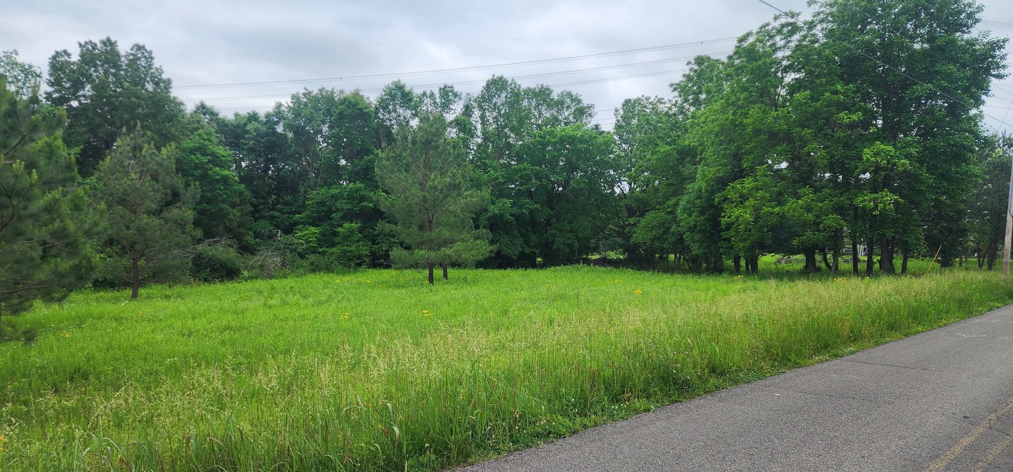 3147 Old New Cut Rd Property Photo 13
