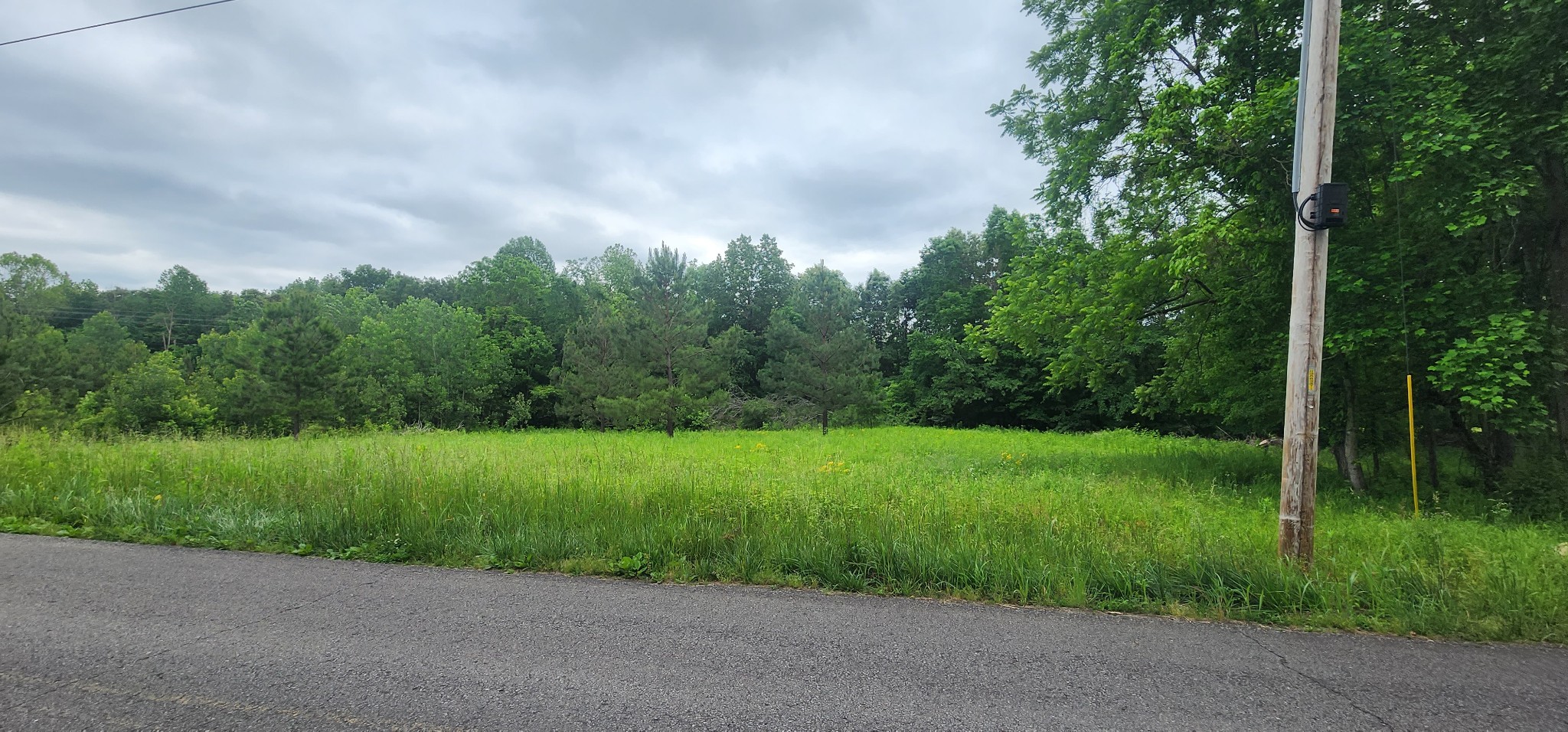 3147 Old New Cut Rd Property Photo 14