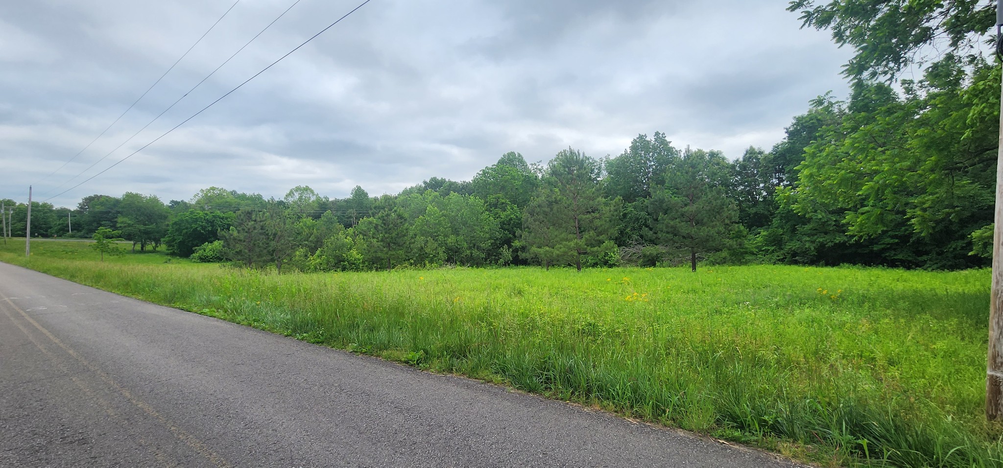 3147 Old New Cut Rd Property Photo 15