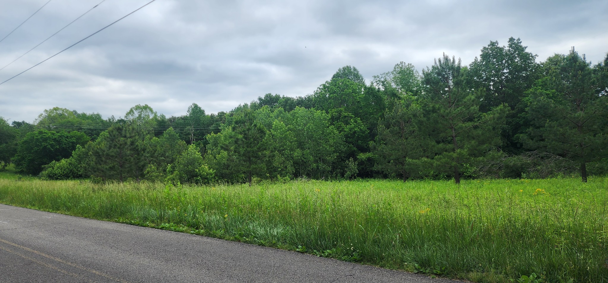 3147 Old New Cut Rd Property Photo 16