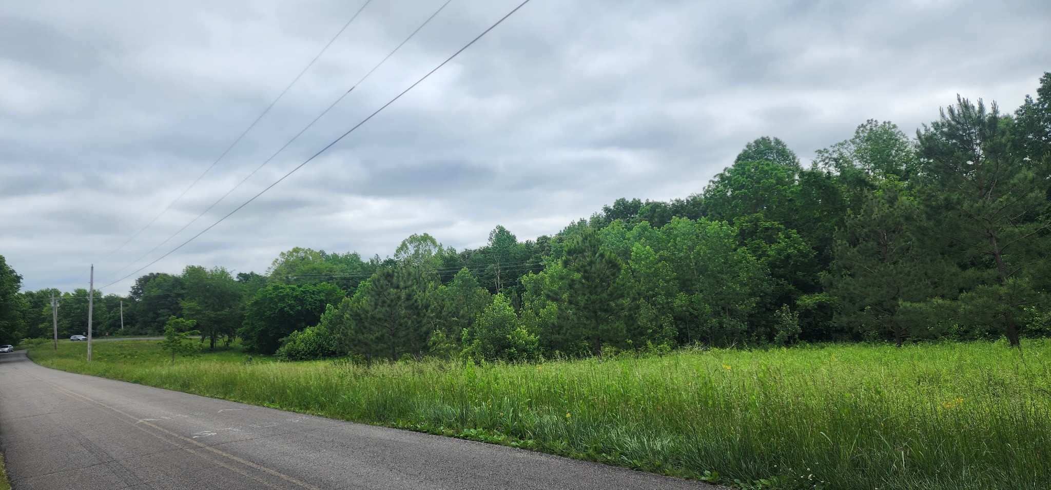 3147 Old New Cut Rd Property Photo 17