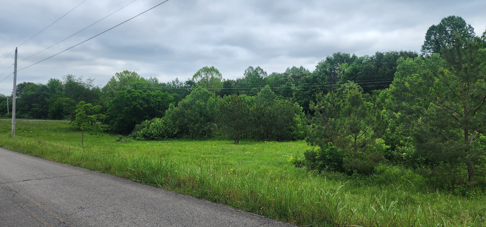 3147 Old New Cut Rd Property Photo 18