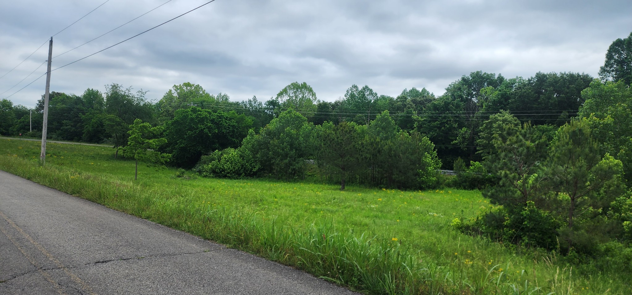 3147 Old New Cut Rd Property Photo 19