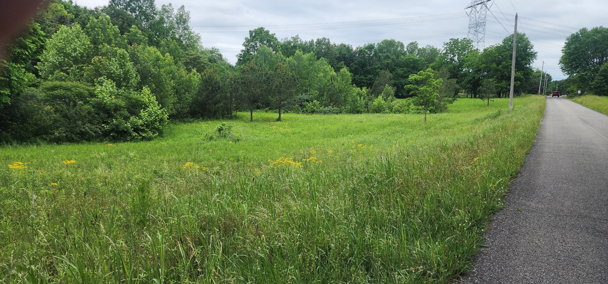 3147 Old New Cut Rd Property Photo 21