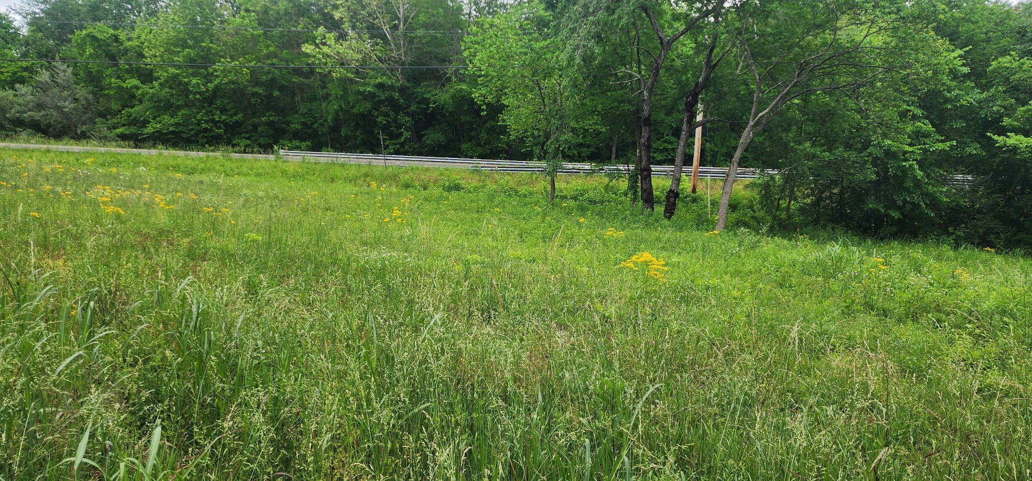 3147 Old New Cut Rd Property Photo 22