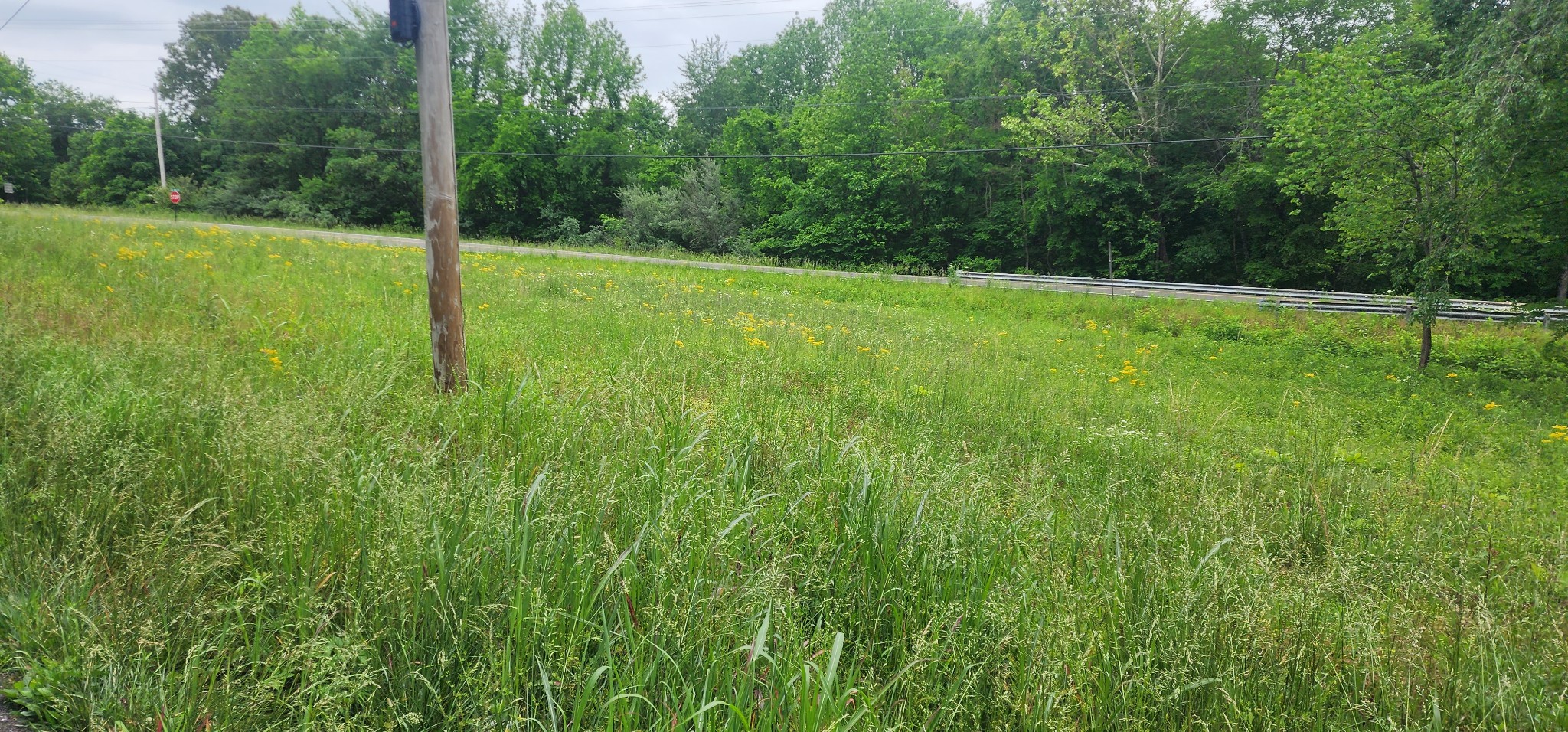 3147 Old New Cut Rd Property Photo 23