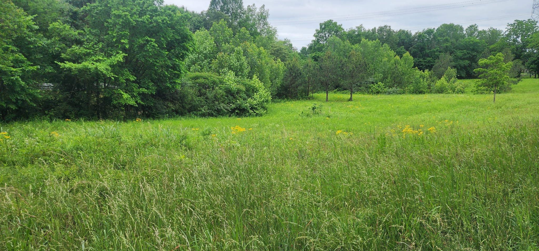 3147 Old New Cut Rd Property Photo 24
