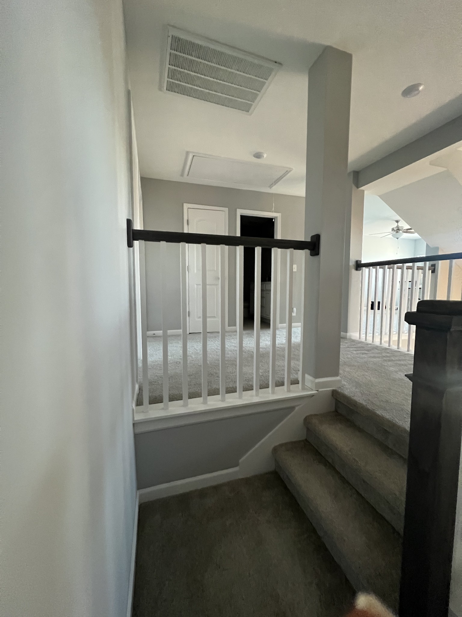 3507 Symphony Ln Property Photo 13