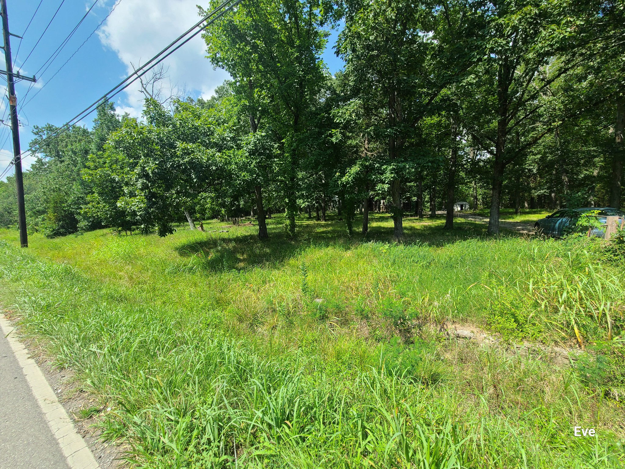 4046 Murfreesboro Pike Property Photo 4